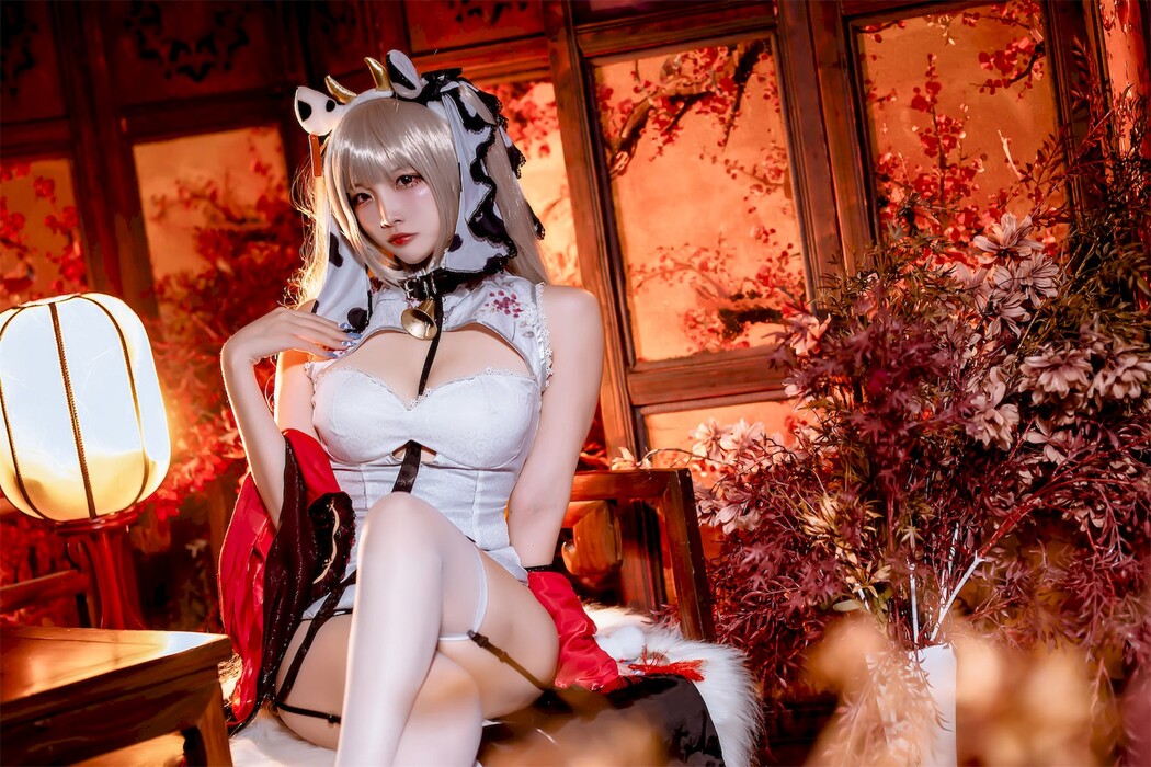 Cosplay 二佐Nisa 碧蓝航线可畏旗袍