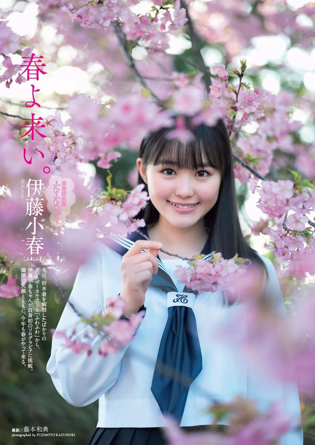 Koharu Ito 伊藤小春, Weekly Playboy 2019 No.15 (週刊プレイボーイ 2019年15号) Cover Photo