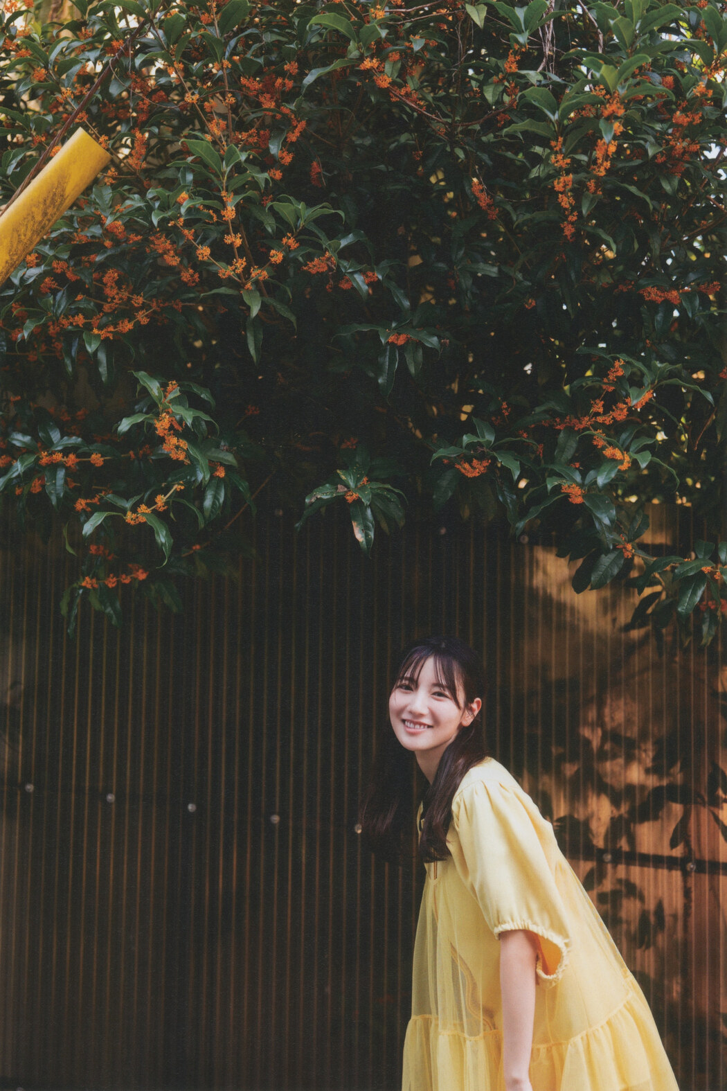 Hina Kawata 河田陽菜, BRODY 2022 No.12 (ブロディ 2022年12月号)