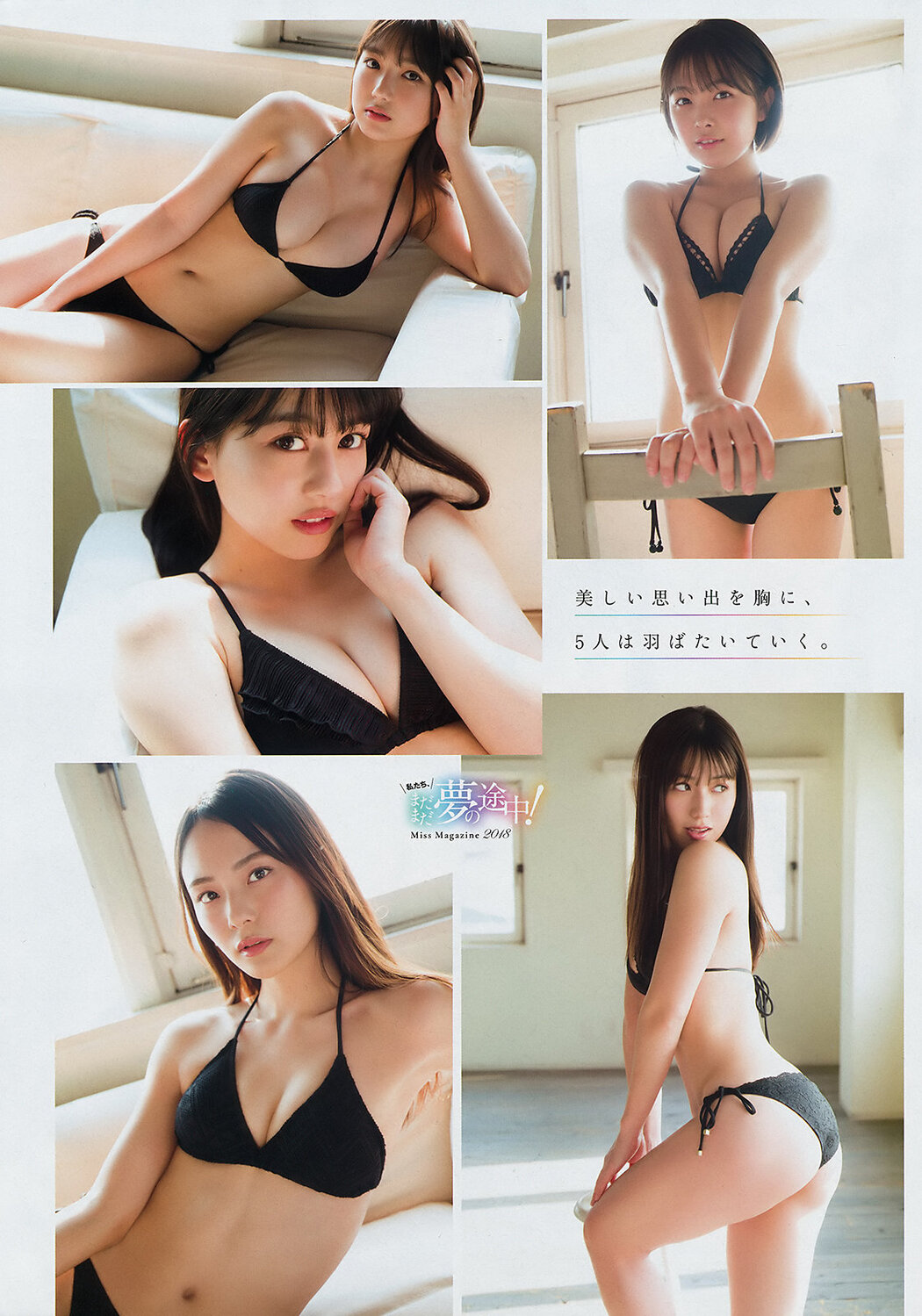 Miss Magazine 2019, Young Magazine 2019 No.31 (ヤングマガジン 2019年31号)