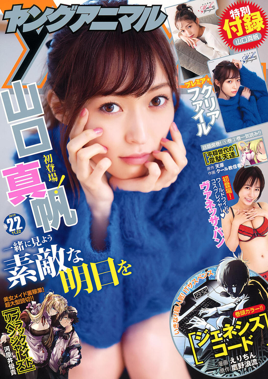 Maho Yamaguchi 山口真帆, Young Animal 2019 No.22 (ヤングアニマル 2019年22号) Cover Photo