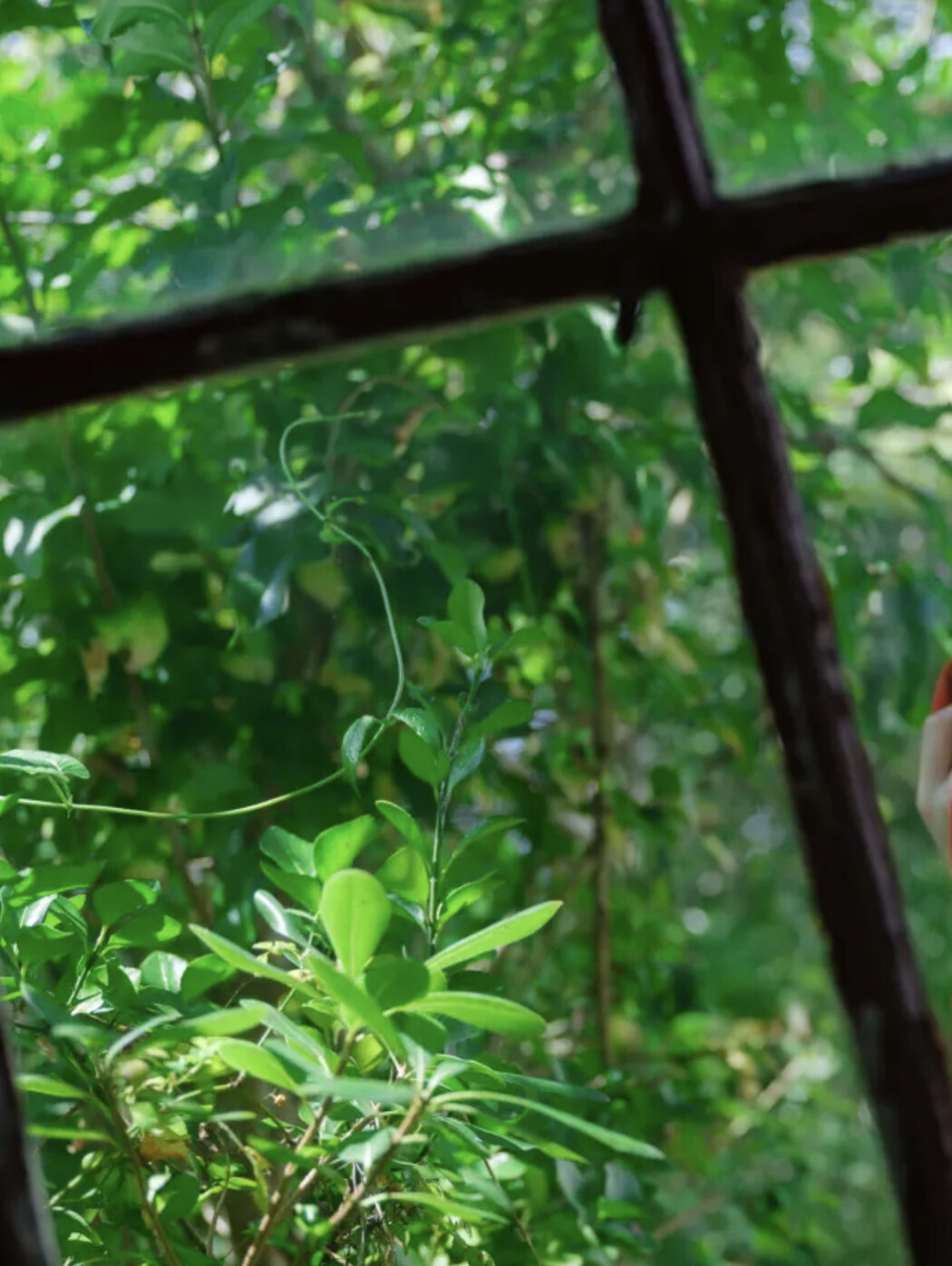 Ikechan いけちゃん, ＦＲＩＤＡＹデジタル写真集 「バースデー記念スペシャル50カット」 Set.01