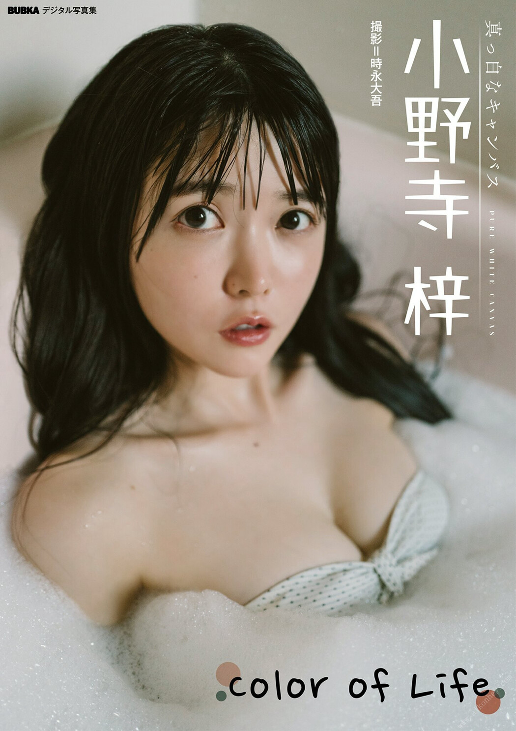 Azusa Onodera 小野寺梓, BUBKAデジタル写真集 「Color of Life」 Set.01 Cover Photo