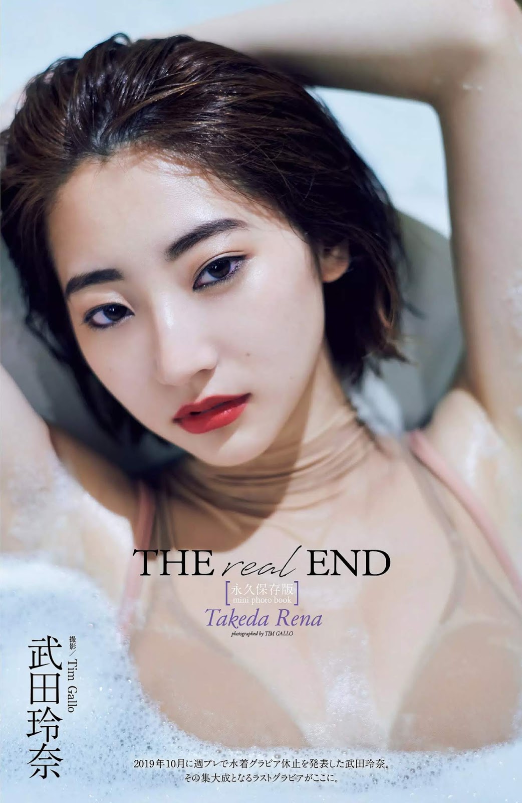 Rena Takeda 武田玲奈, Weekly Playboy 2020 No.01-02 (週刊プレイボーイ 2020年1-2号) Cover Photo