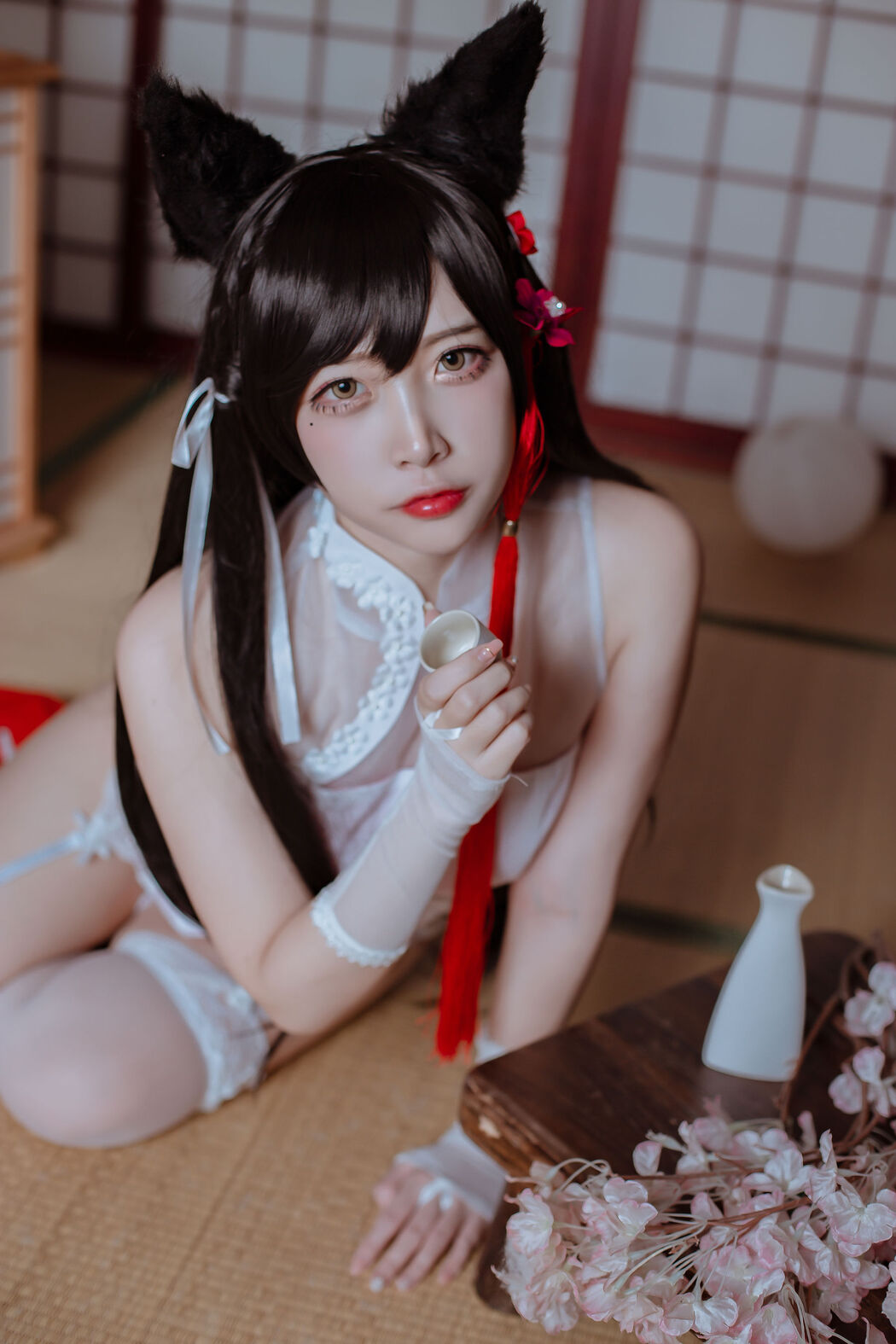 [Cosplay Photo] Popular Coser Nizuo Nisa - Canine's Dependent Blue Atago Cheongsam