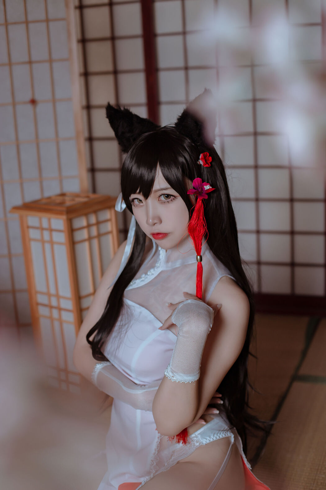 [Cosplay Photo] Popular Coser Nizuo Nisa - Canine's Dependent Blue Atago Cheongsam