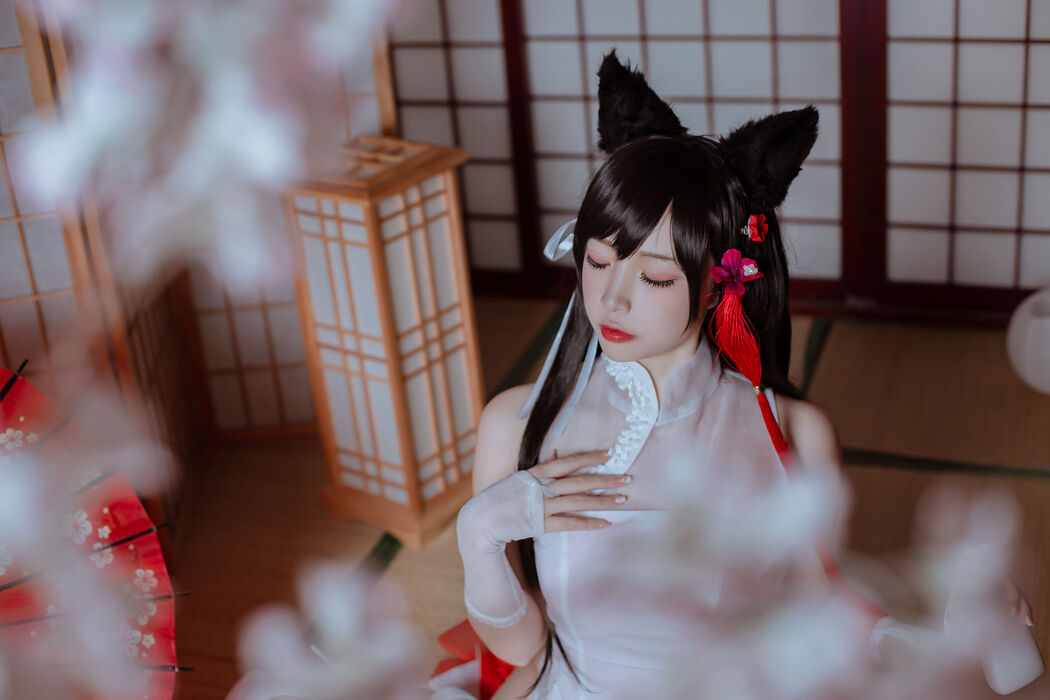 [Cosplay Photo] Popular Coser Nizuo Nisa - Canine's Dependent Blue Atago Cheongsam