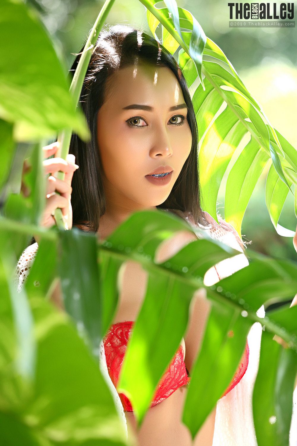 [The Black Alley] Nicha Set.23 2018.10.15