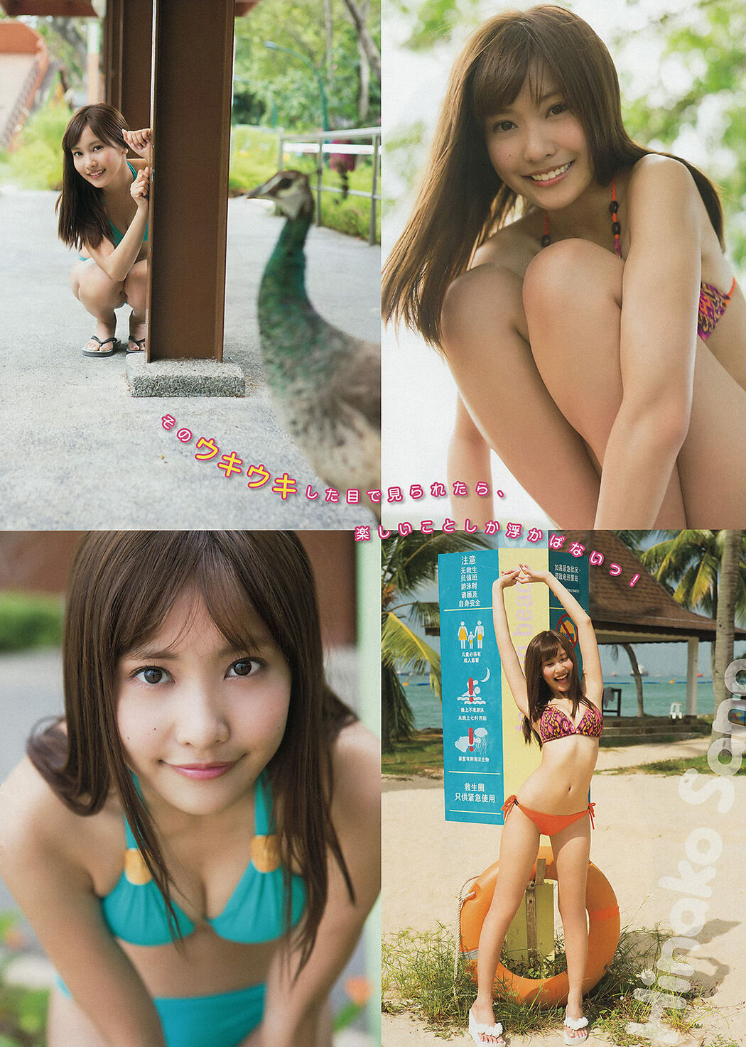 [Young Magazine] Maggie Hinako Sano 2015 No.14 Photograph