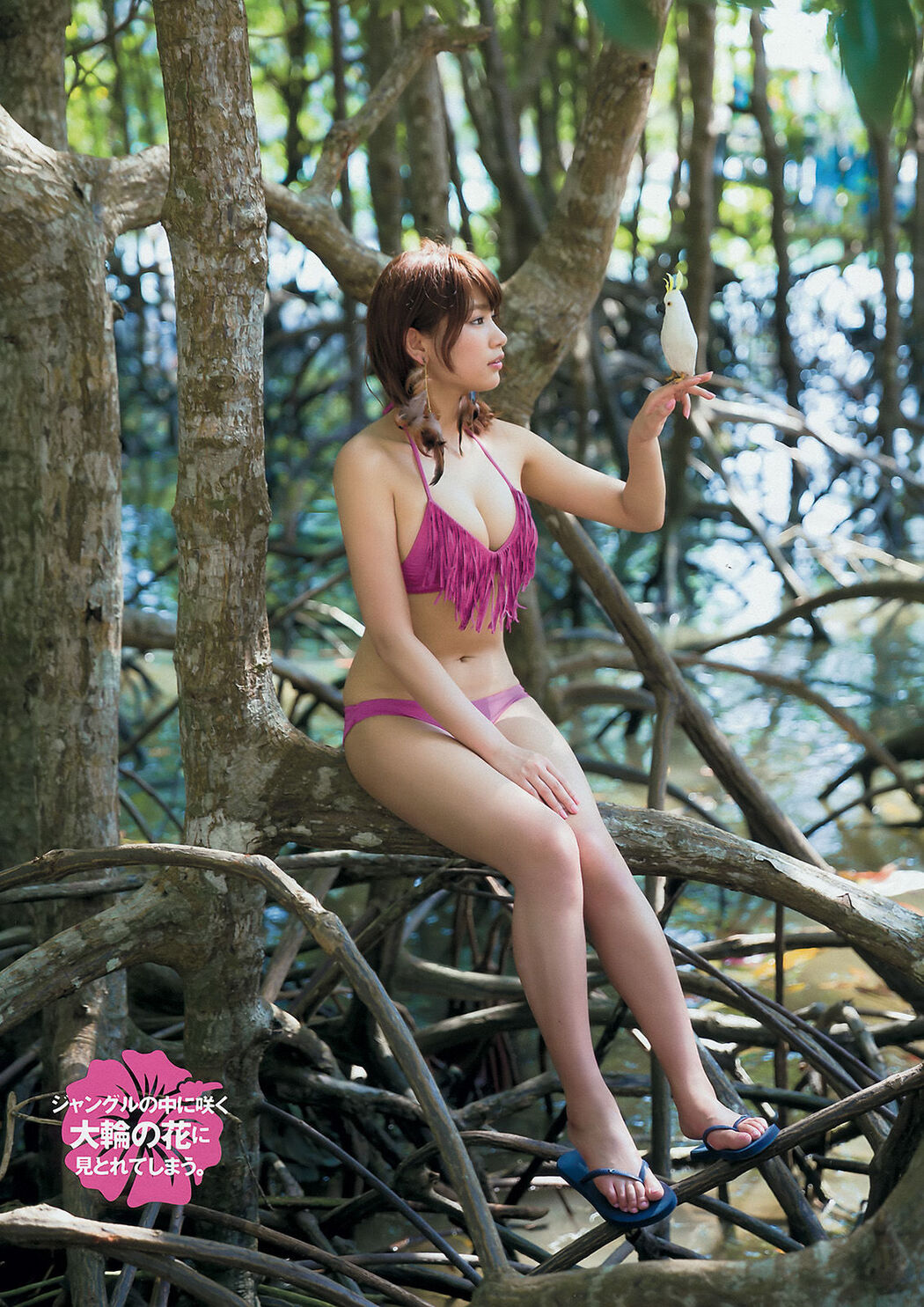 [Young Magazine] Ikumi Hisamatsu Hanami Natsume 2015 No.26 Photograph Cover Photo