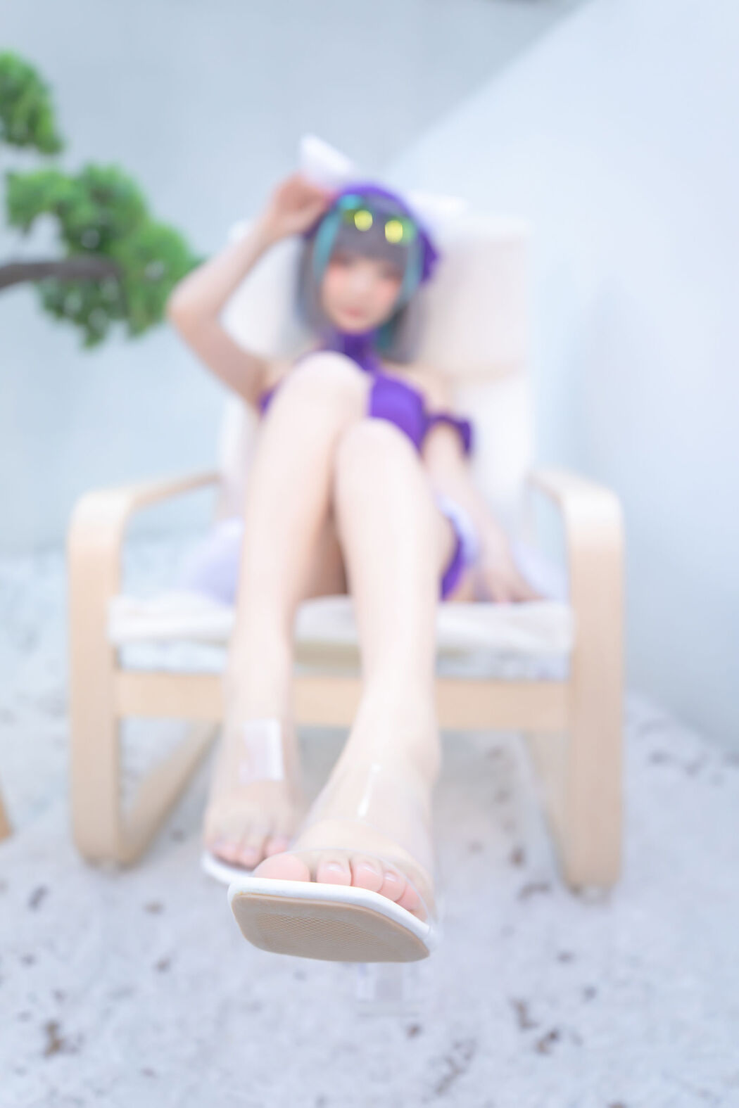 [Internet celebrity COSER photo] Lolita god board true winter of Cheshire - solid color courtyard