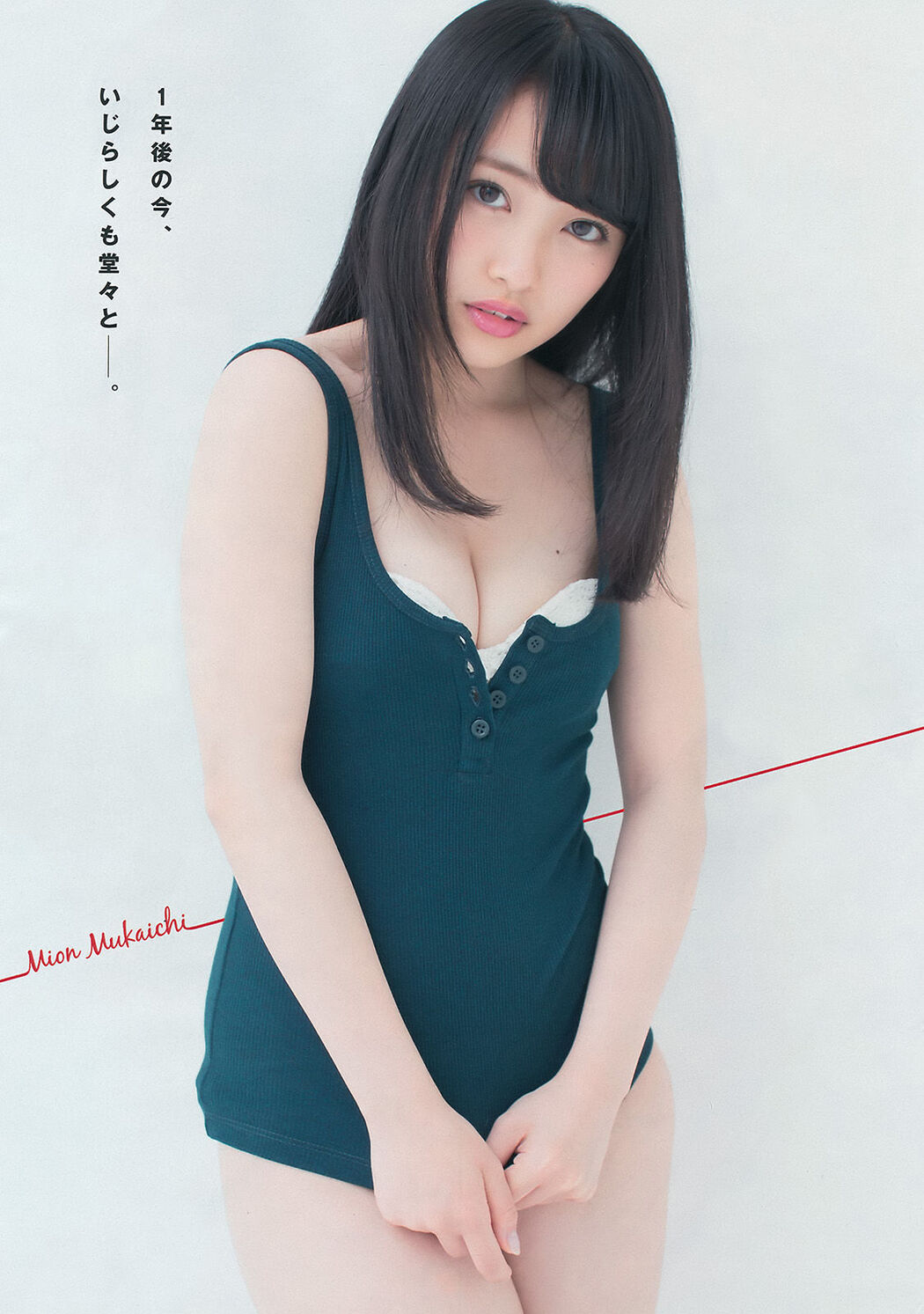 [Young Magazine] Mukaiji No.28 Photo Magazine 2016