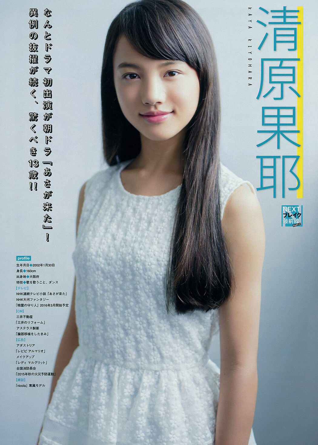 [Young Magazine] Rina Asakawa 2015 No.45 Photograph