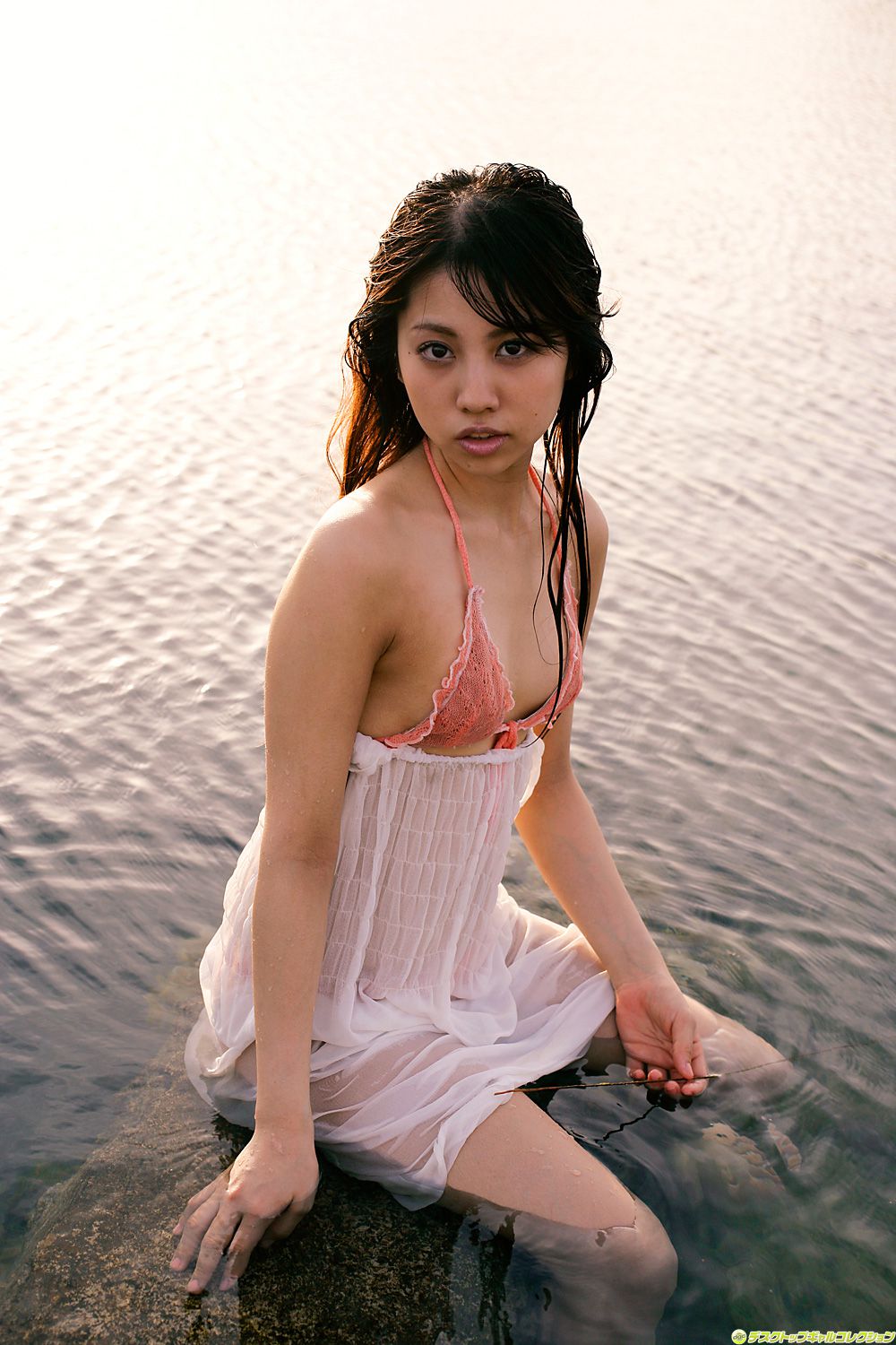 [DGC] NO.760 Tomomi Ohe
