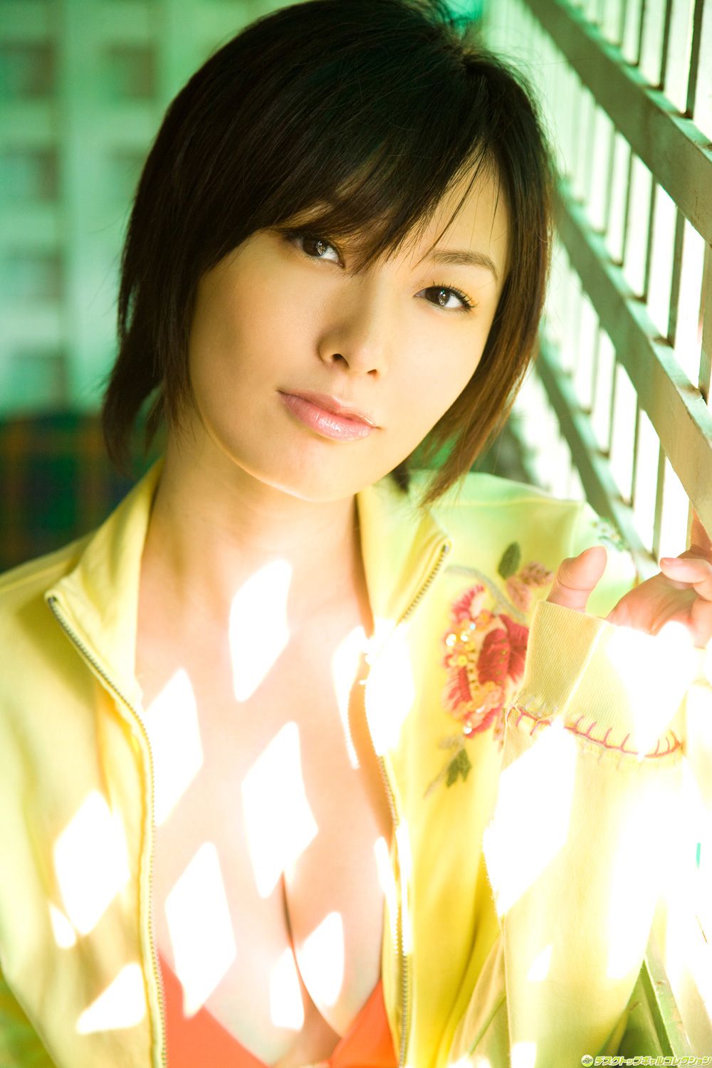 [DGC] NO.600 Nao Nagasawa Nao Nagasawa Gravure Idols