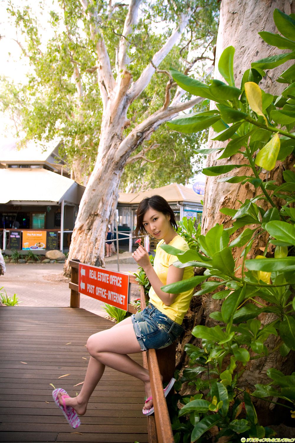 [DGC] NO.600 Nao Nagasawa Nao Nagasawa Gravure Idols