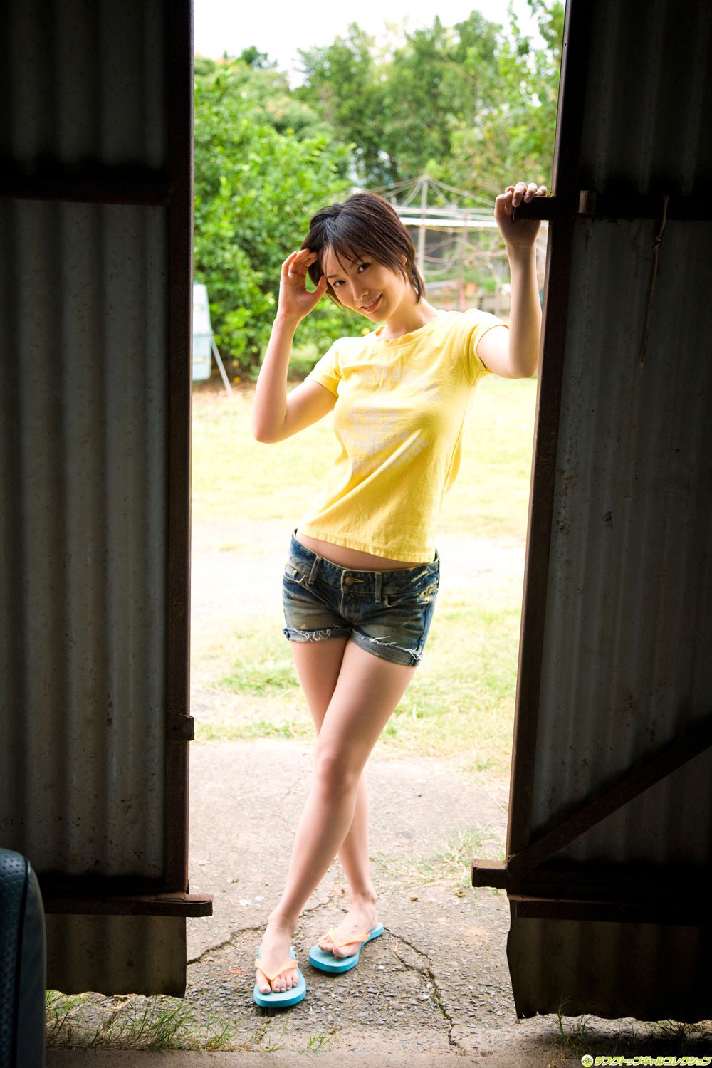 [DGC] NO.600 Nao Nagasawa Nao Nagasawa Gravure Idols