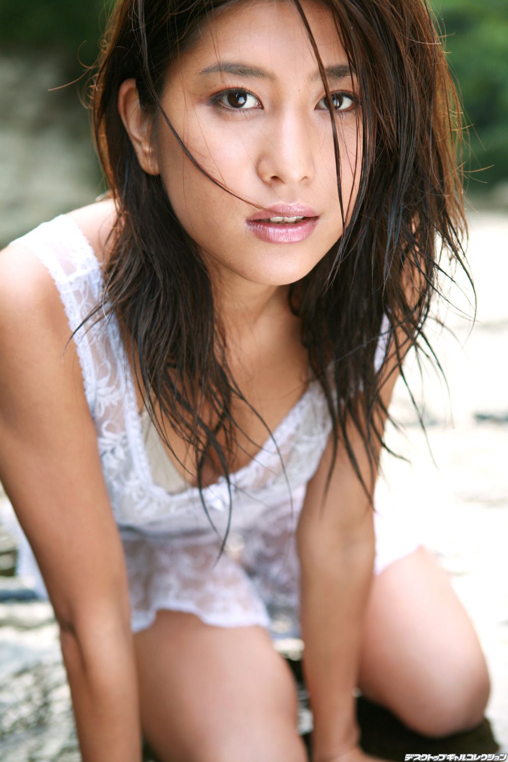 [DGC] NO.516 Ayuko Iwane 岩根あゆこ Top Idols