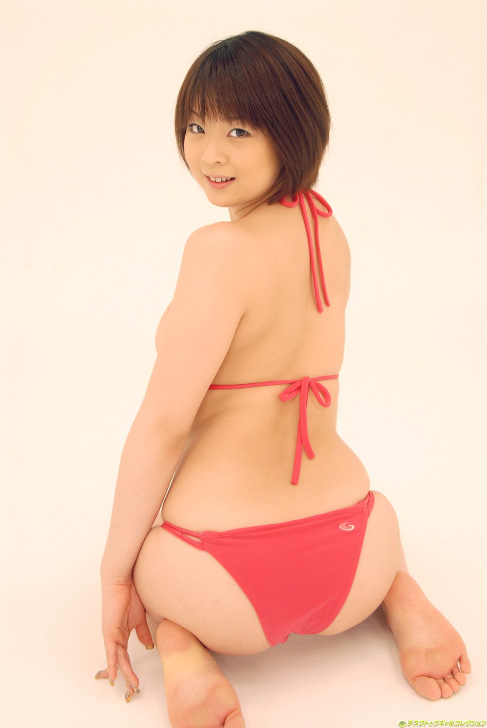 [DGC] NO.530 Sheena Akane シーナ茜 Top Idols