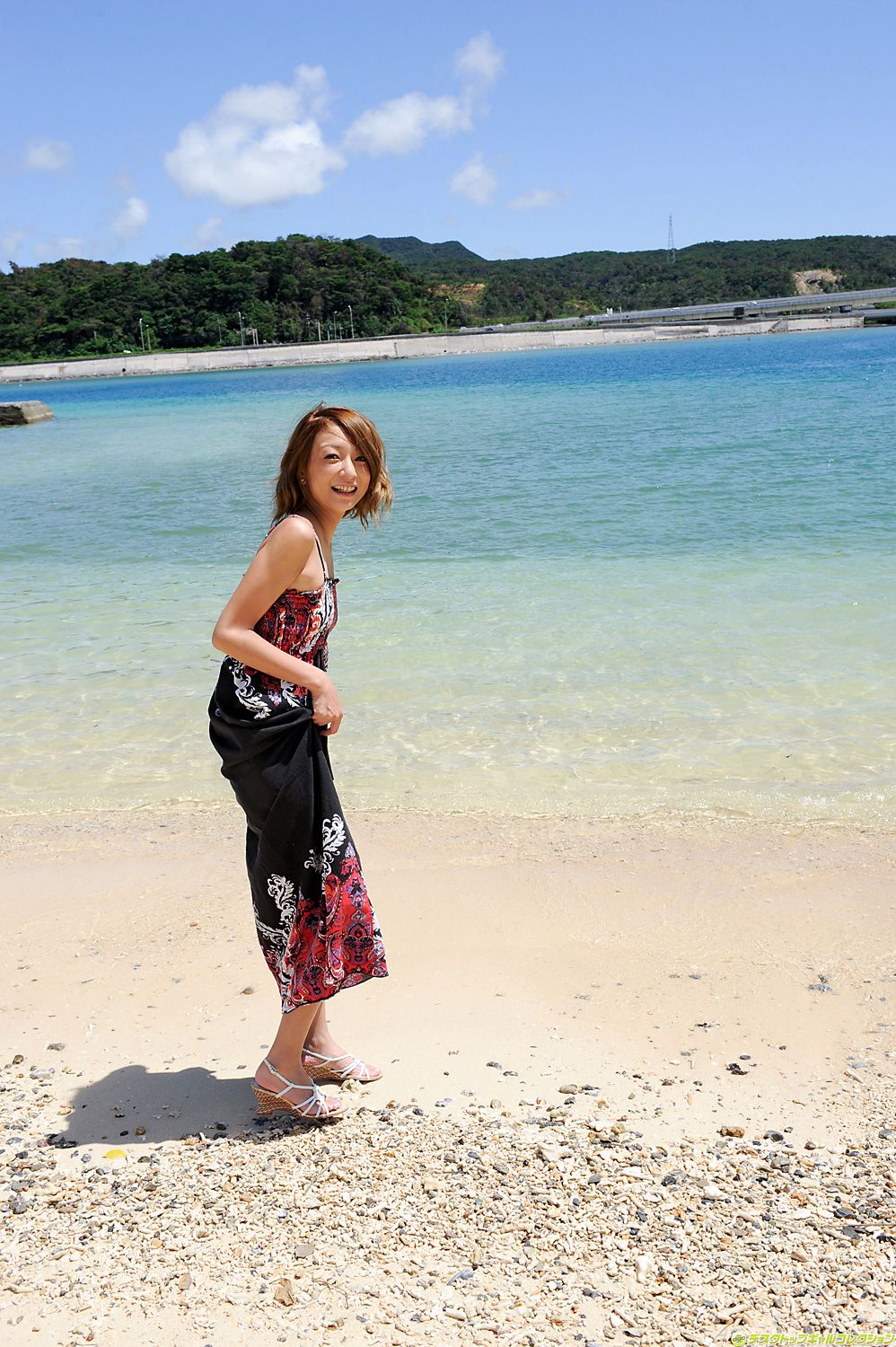 [DGC] NO.929 nao Adult Idols