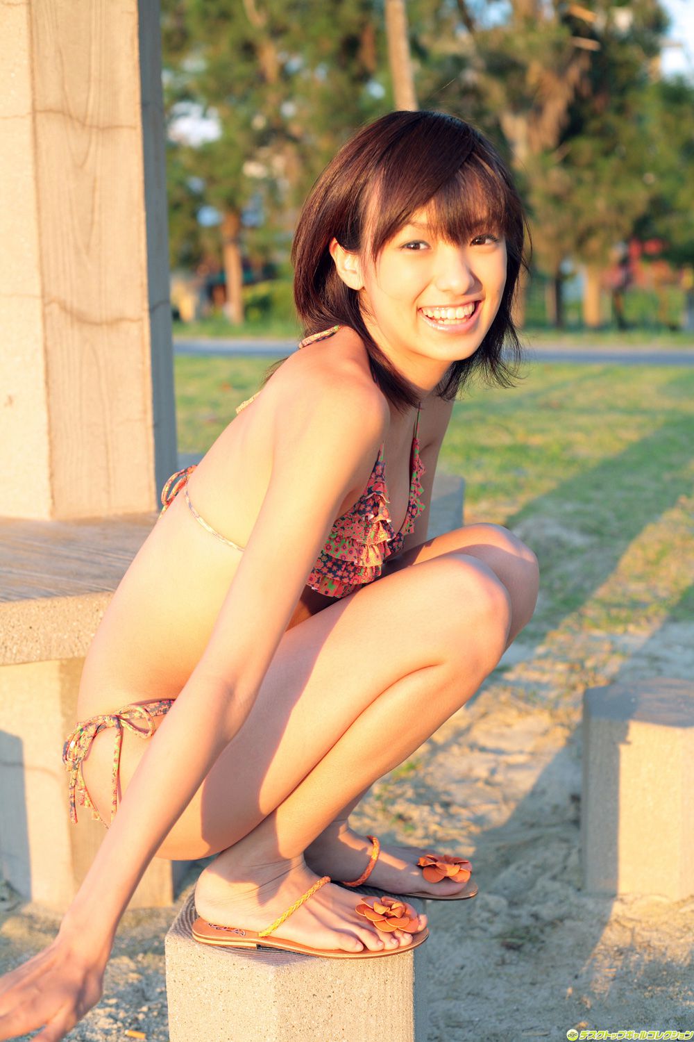 [DGC] NO.528 Akina Minami Cover Photo