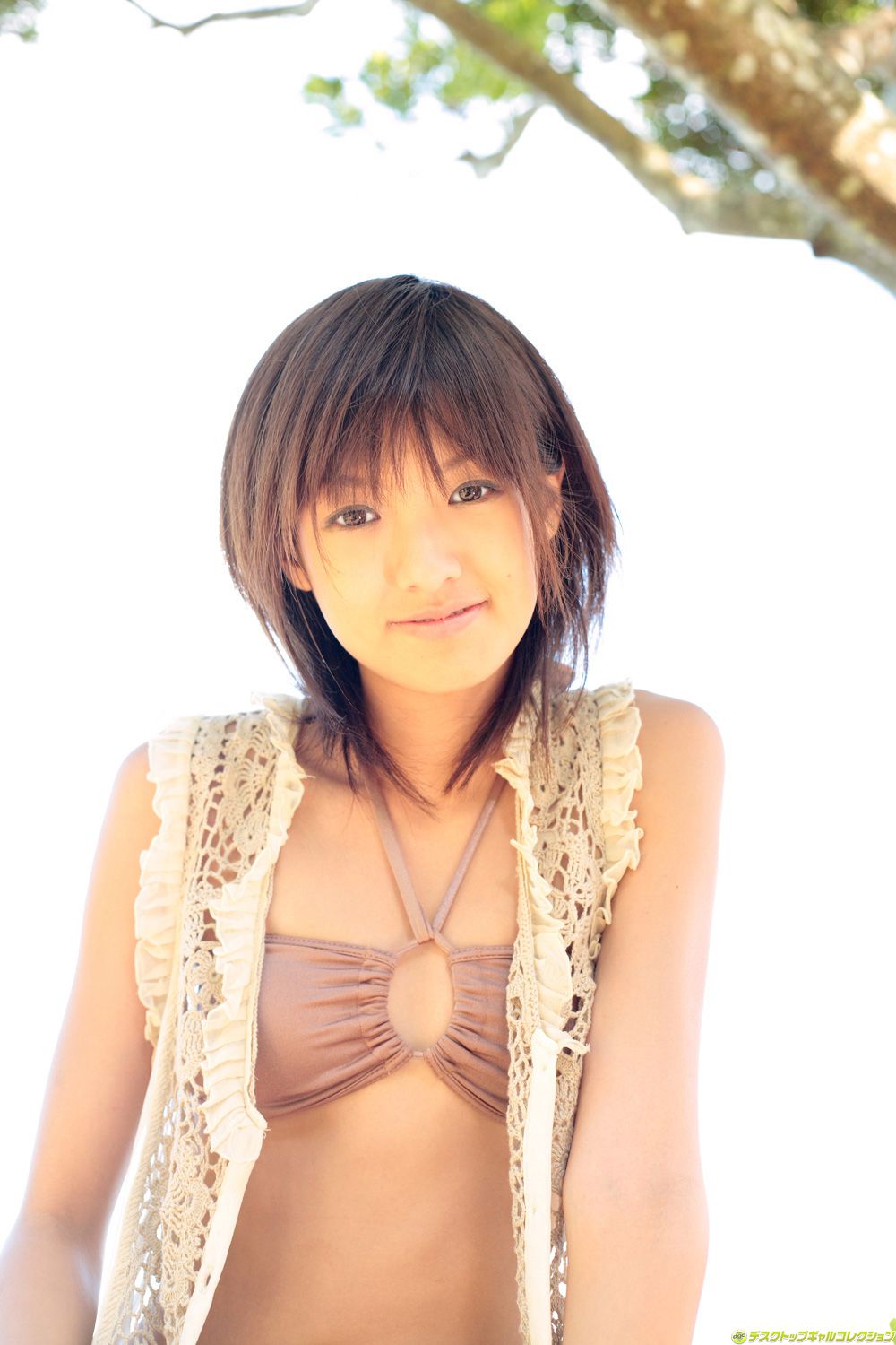 [DGC] NO.528 Akina Minami