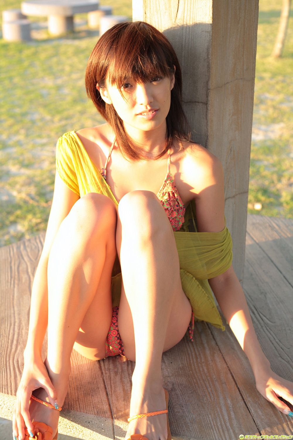 [DGC] NO.528 Akina Minami