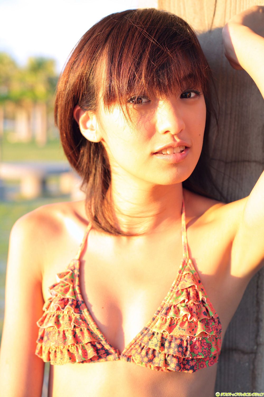 [DGC] NO.528 Akina Minami