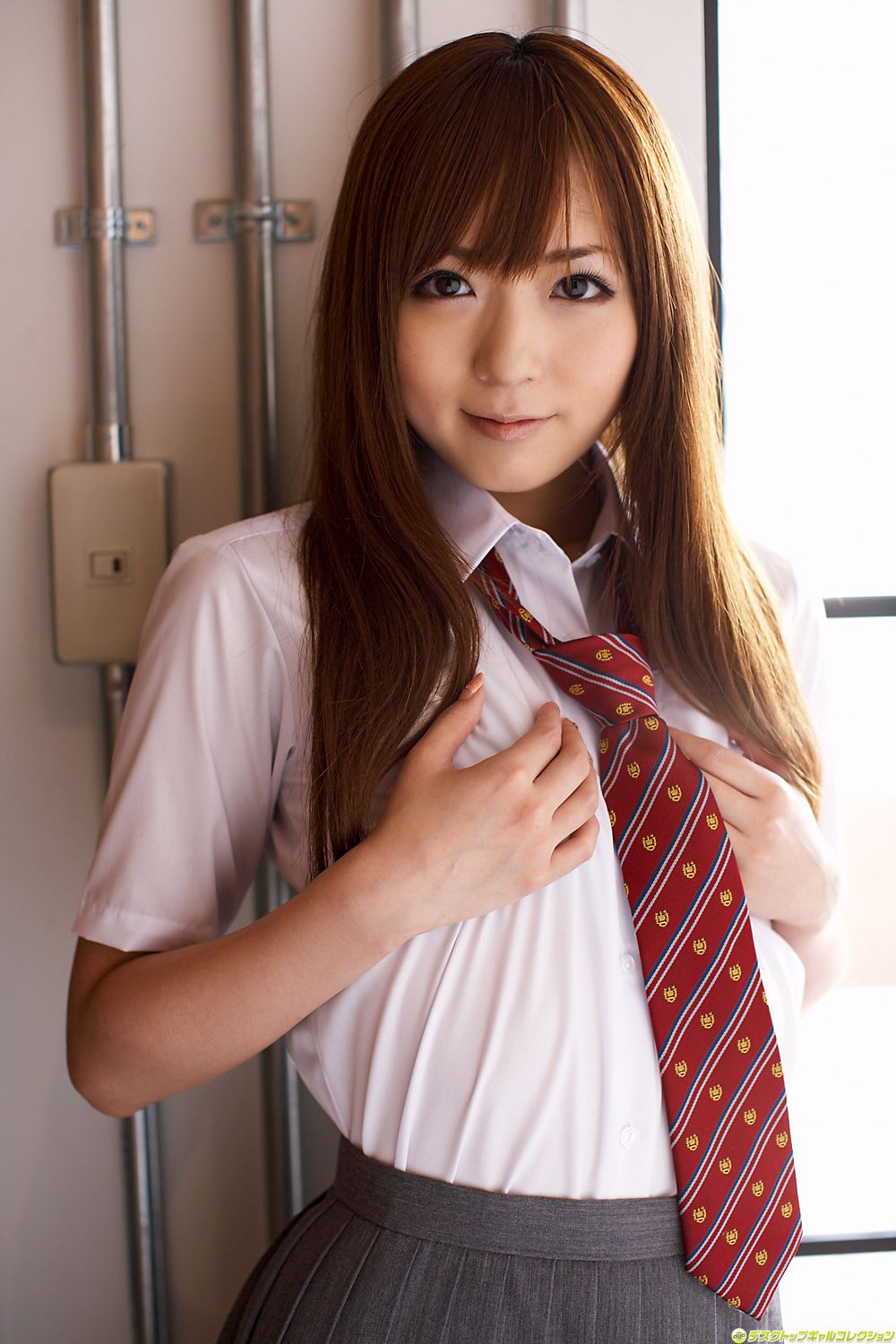 [DGC] NO.883 You Asakura Yuu Asakura / Mayu Asakura