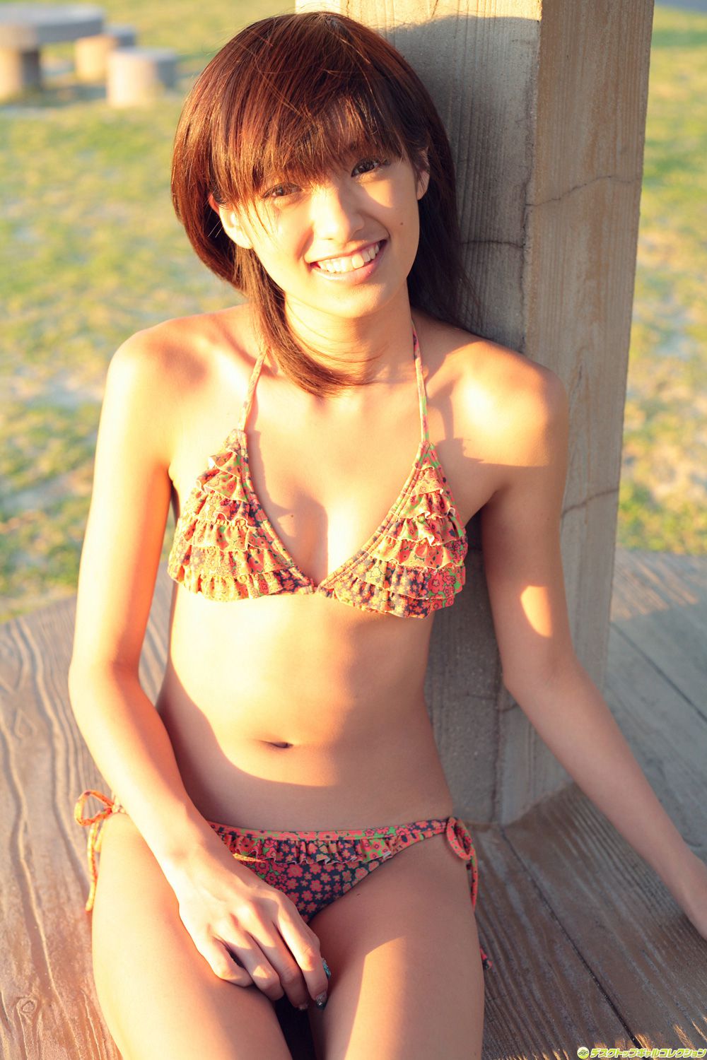 [DGC] NO.528 Akina Minami