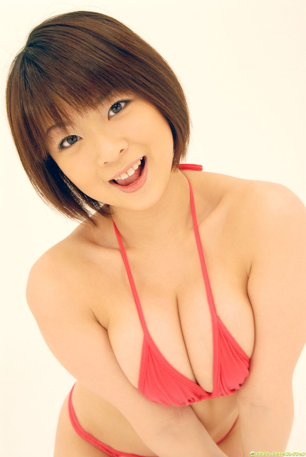 [DGC] NO.530 Sheena Akane シーナ茜 Top Idols