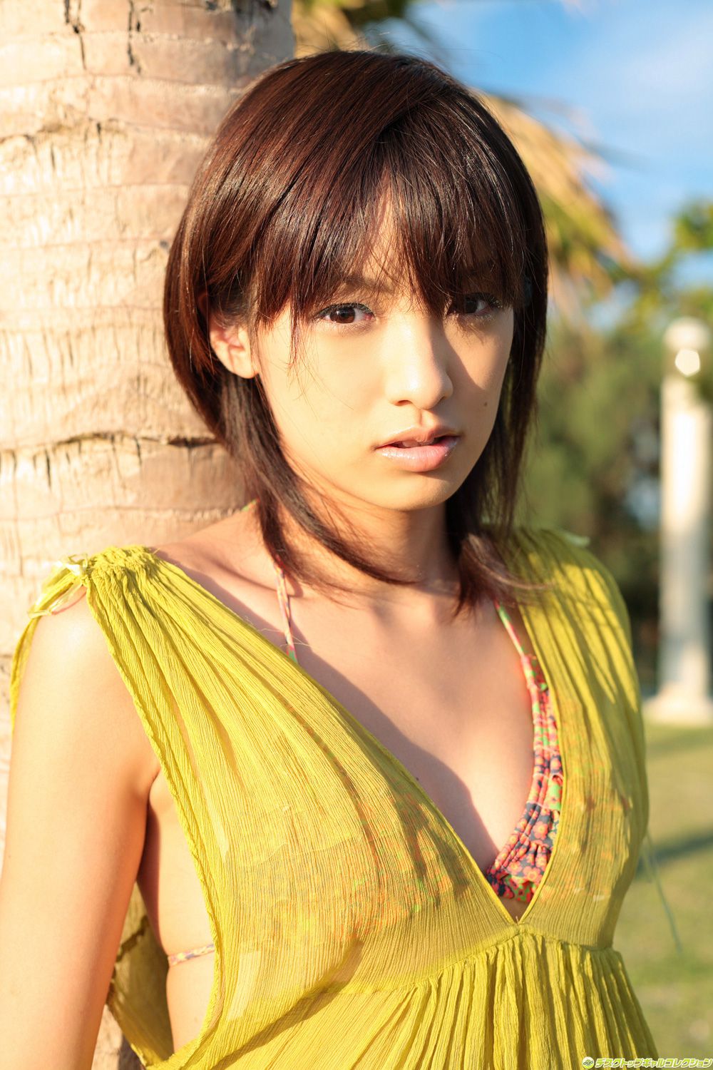 [DGC] NO.528 Akina Minami