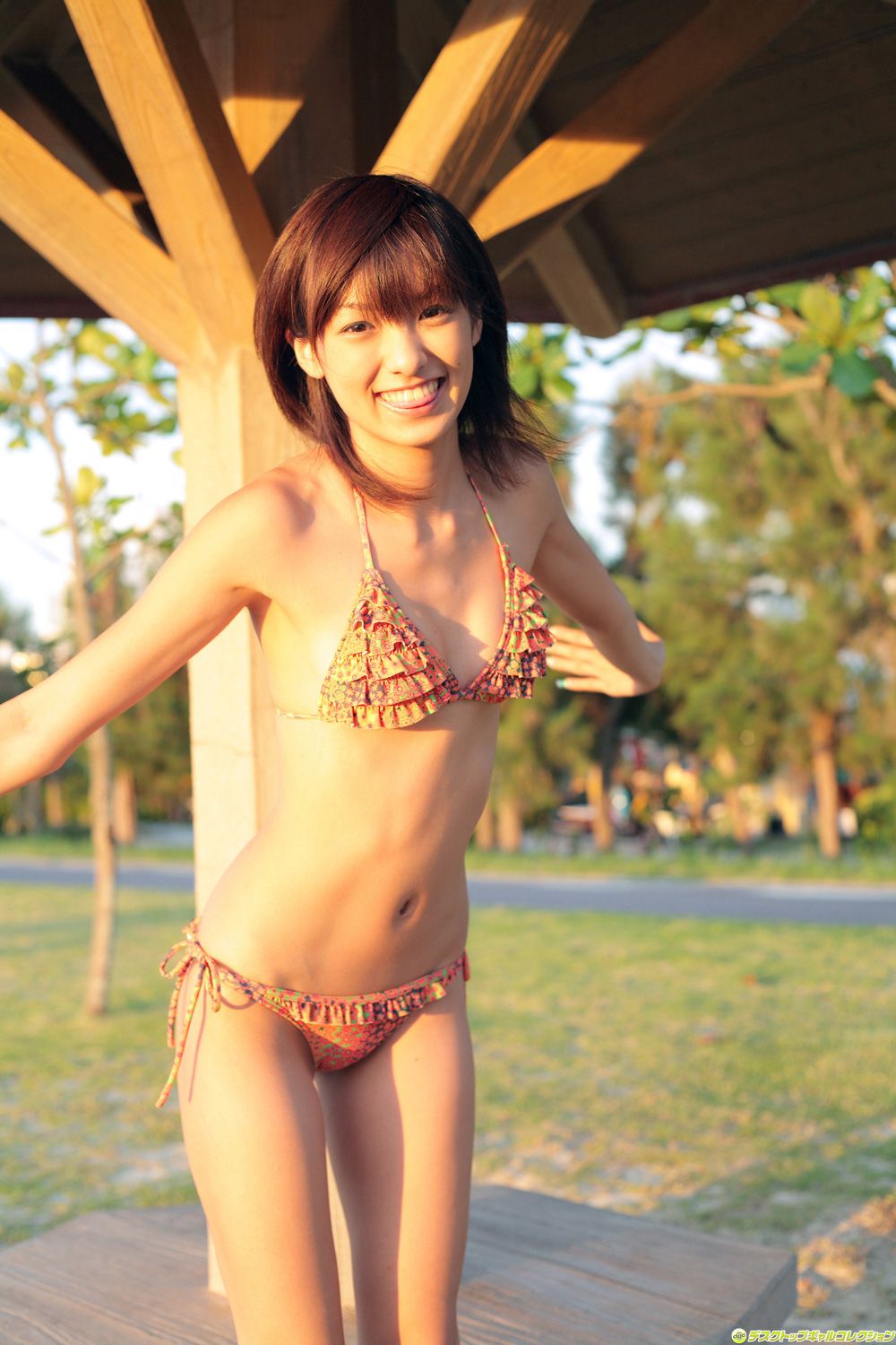 [DGC] NO.528 Akina Minami