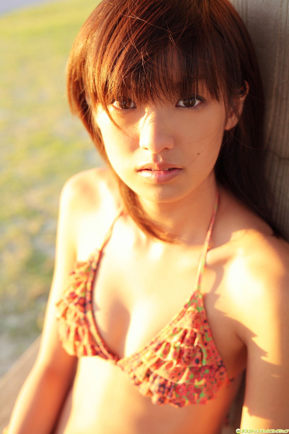 [DGC] NO.528 Akina Minami