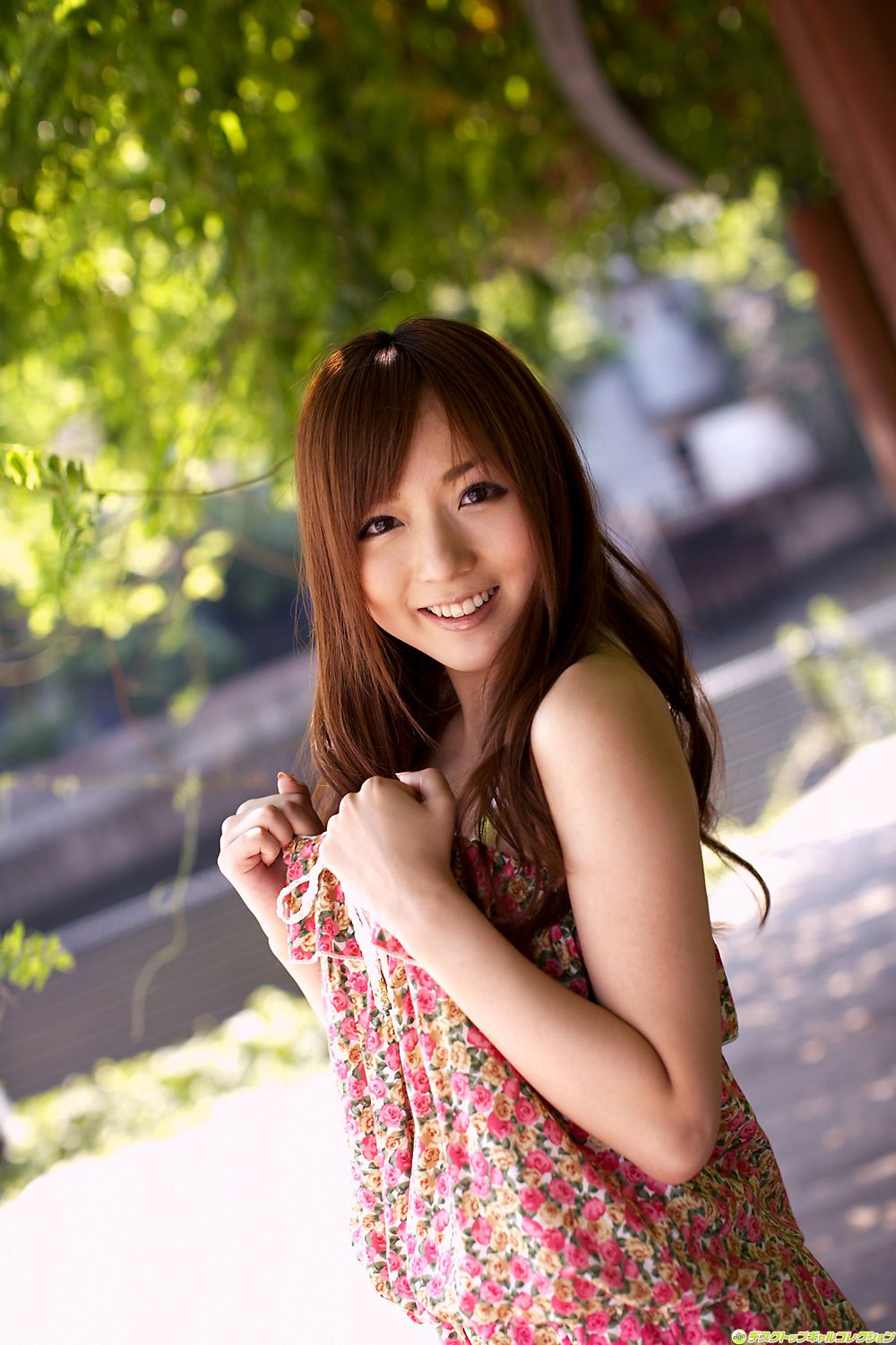 [DGC] NO.883 You Asakura Yuu Asakura / Mayu Asakura
