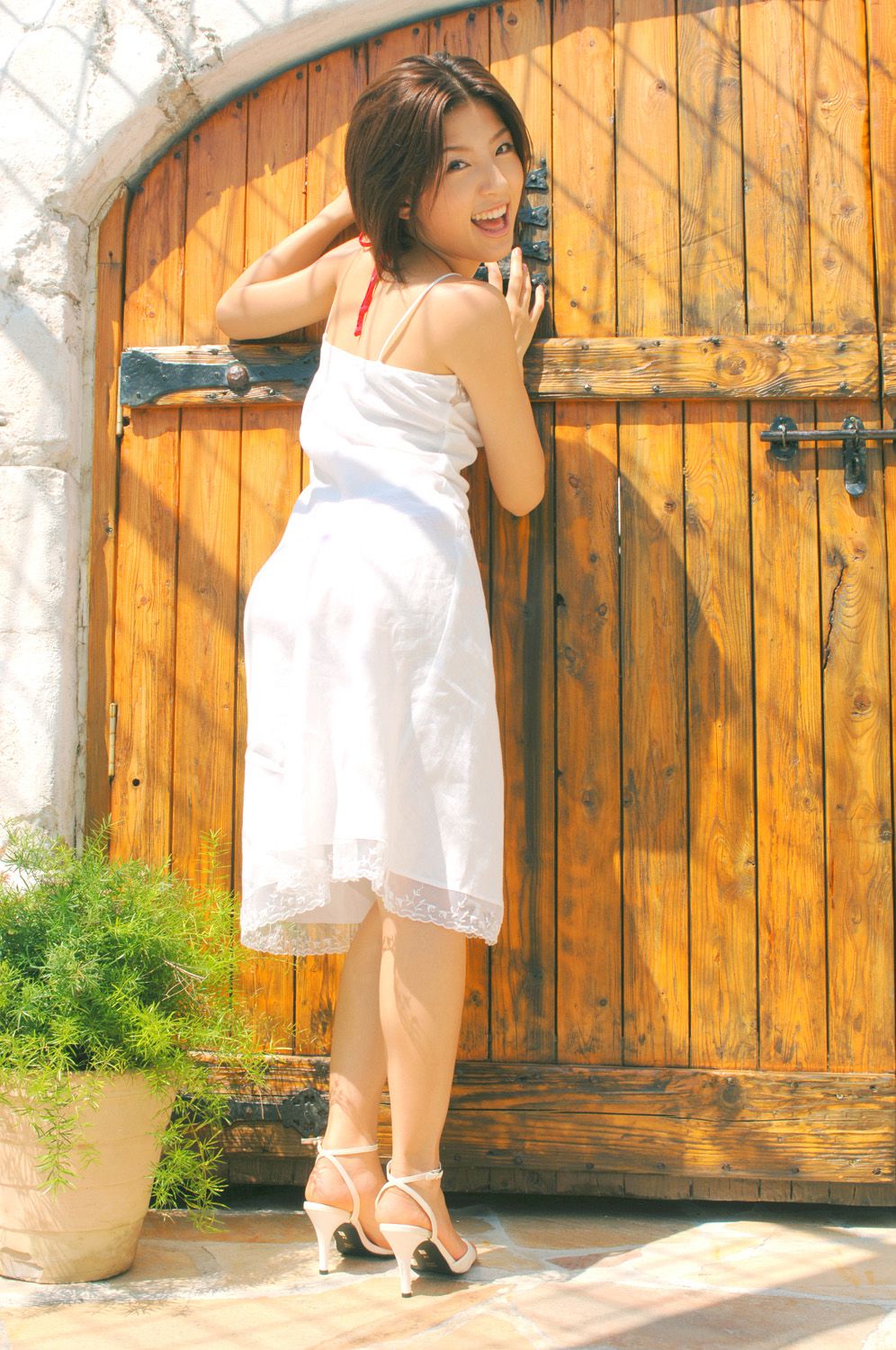 [DGC] NO.367 Erina Matsui Matsui Erina/Erina Matsui
