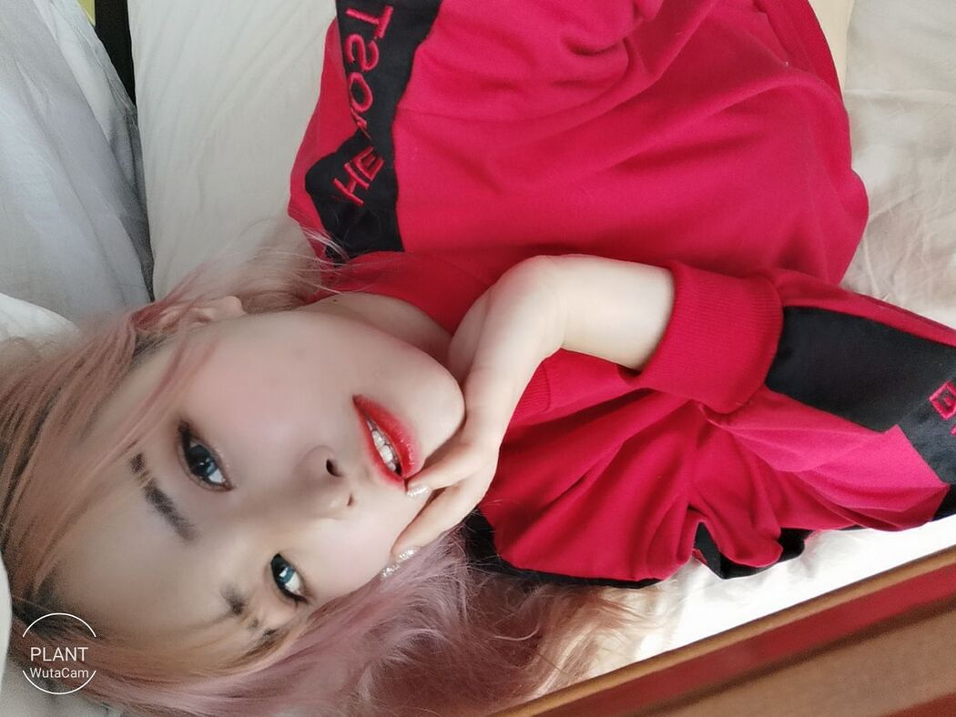 [Net Red COSER Photo] Flower Lily (Plant Lily) - Plant Lily