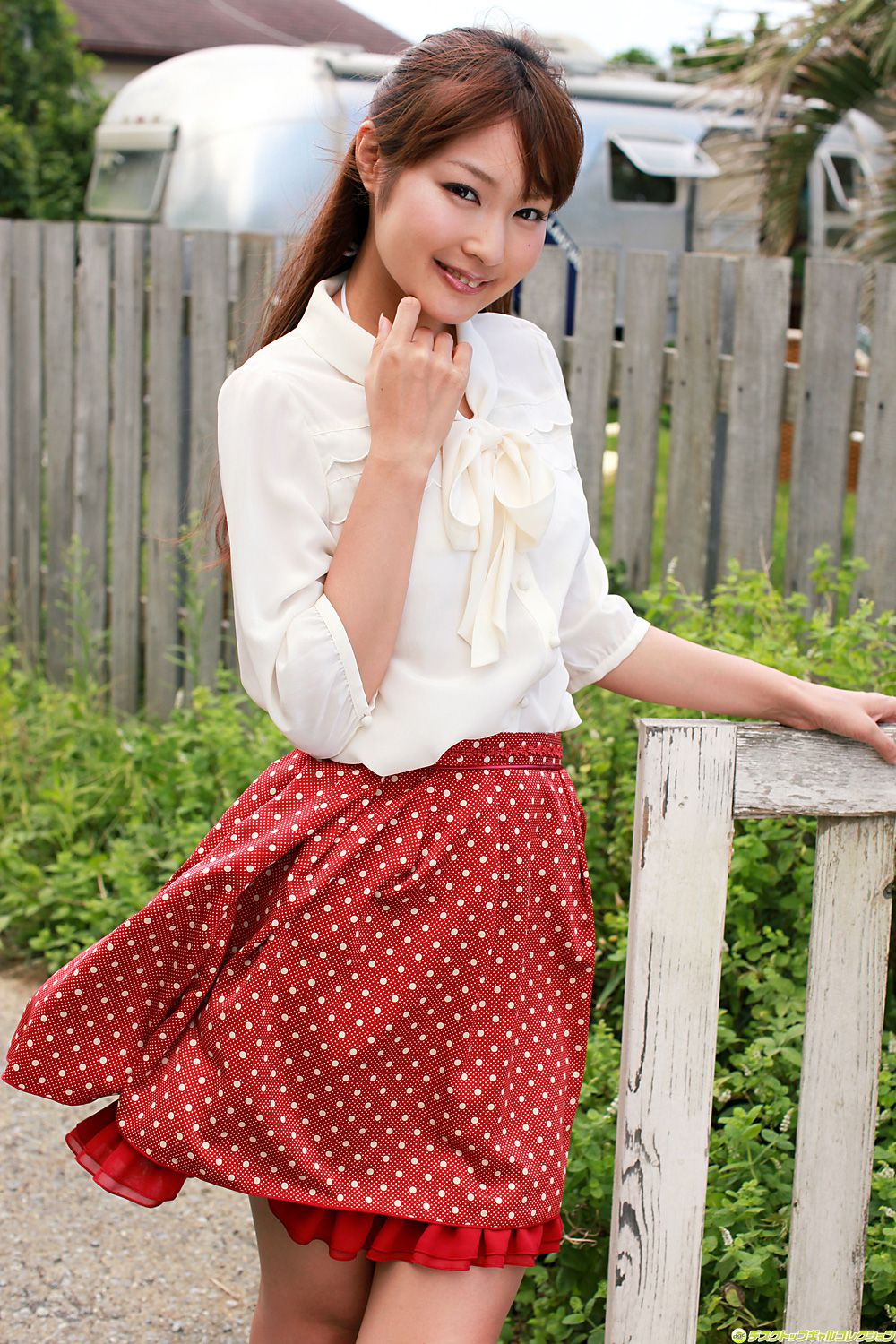 [DGC] NO.993 Misaki Nito Misaki Nito / Misaki Nito Gravure Idols