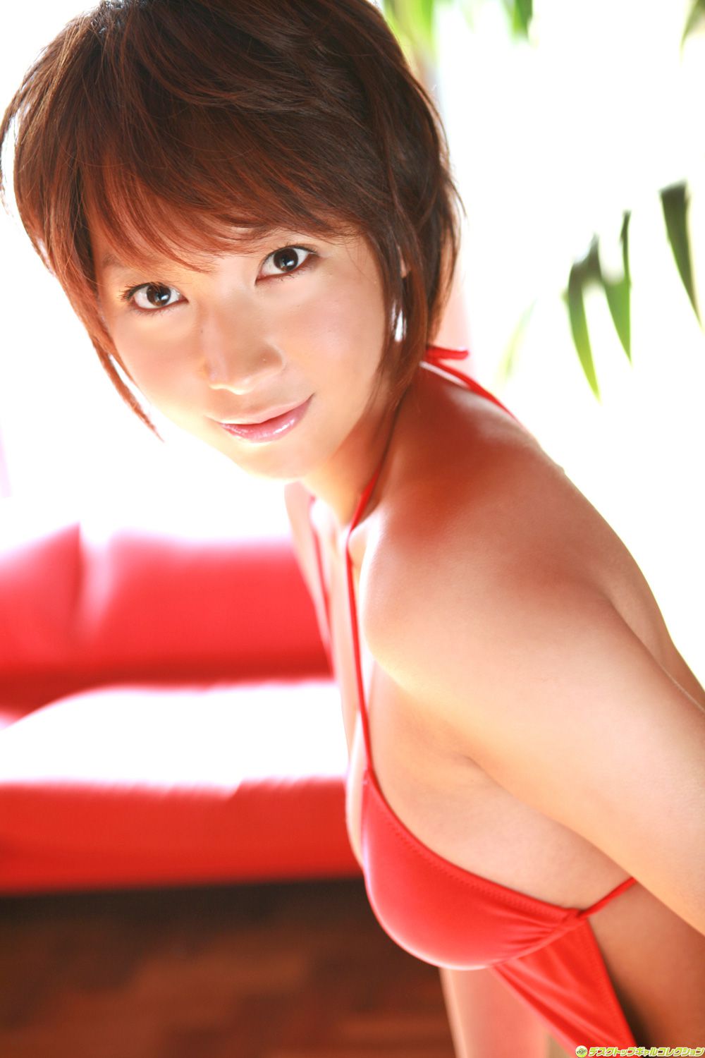 [DGC] NO.554 Ayumi あゆみ Top Idols