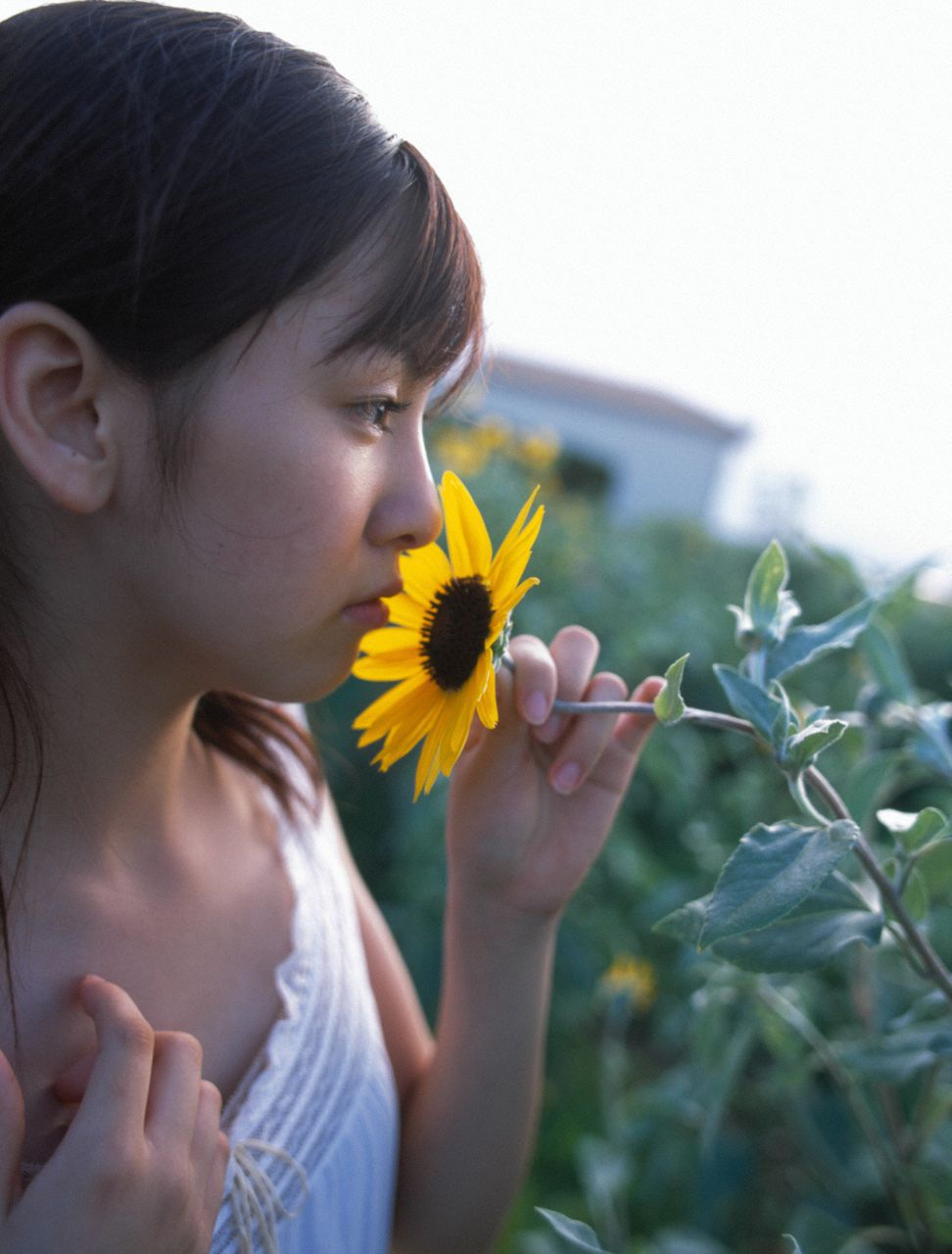 Sugaya Risako Sugaya Risako [Hello! Project Digital Books] Vol.34
