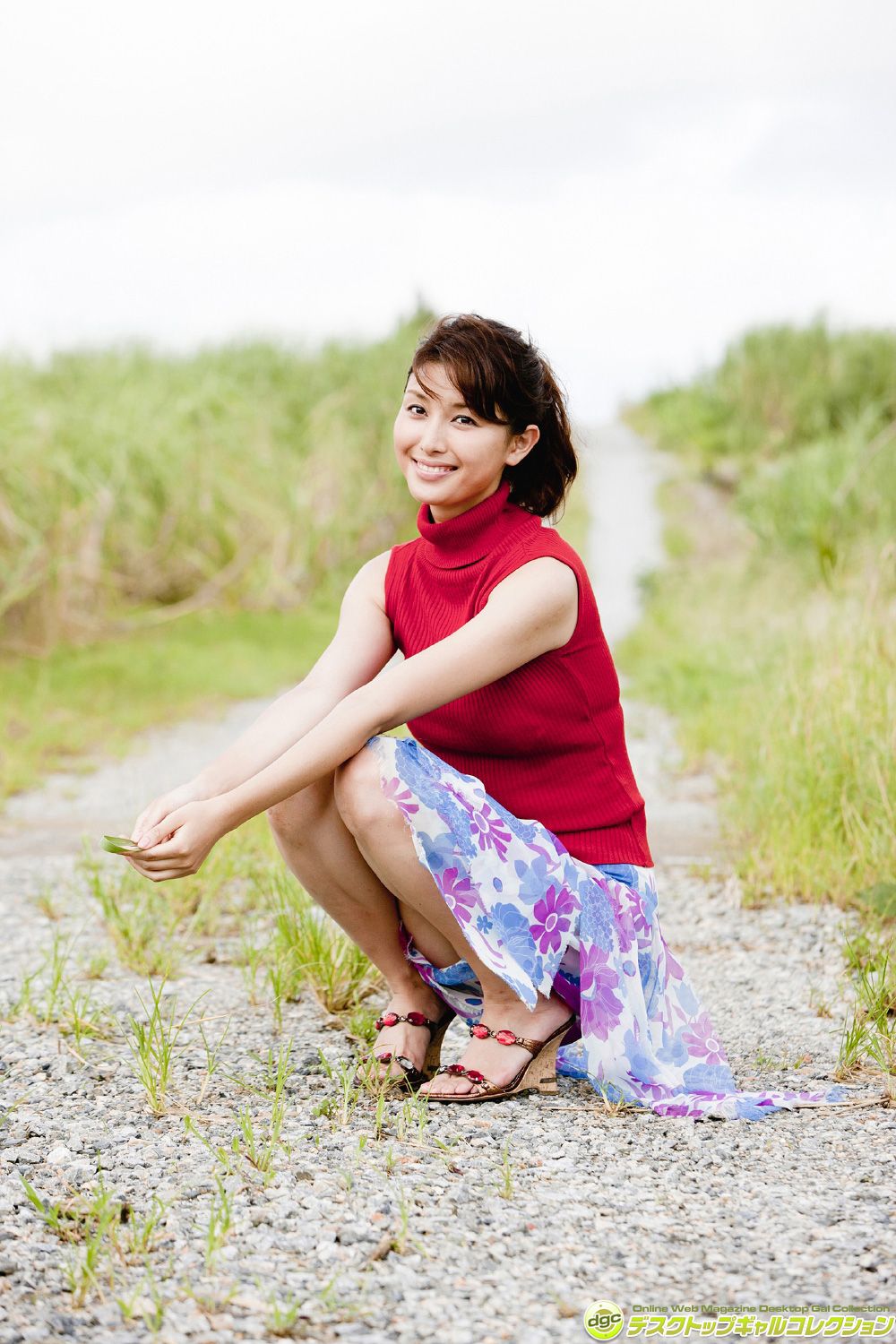 Manami Hashimoto / Manami Hashimoto << Bewitching charm explosion idols in variety shows and magazines >> [DGC] NO.1211