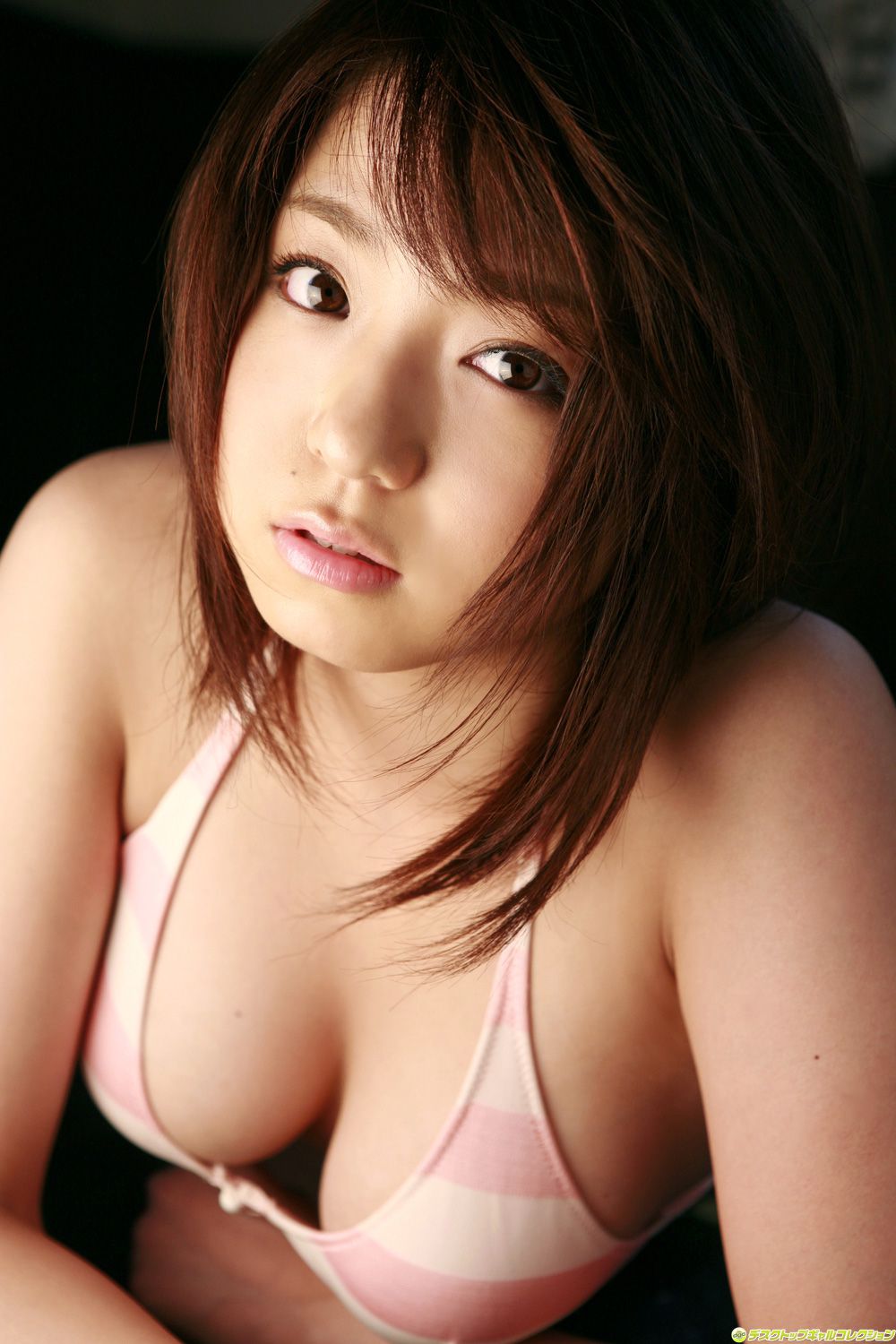 [DGC] NO.529 Shizuka Nakamura Nakamura Shizuka Top Idols