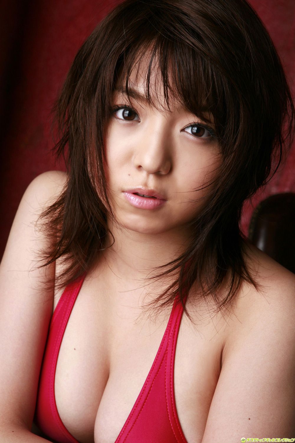 [DGC] NO.529 Shizuka Nakamura Nakamura Shizuka Top Idols