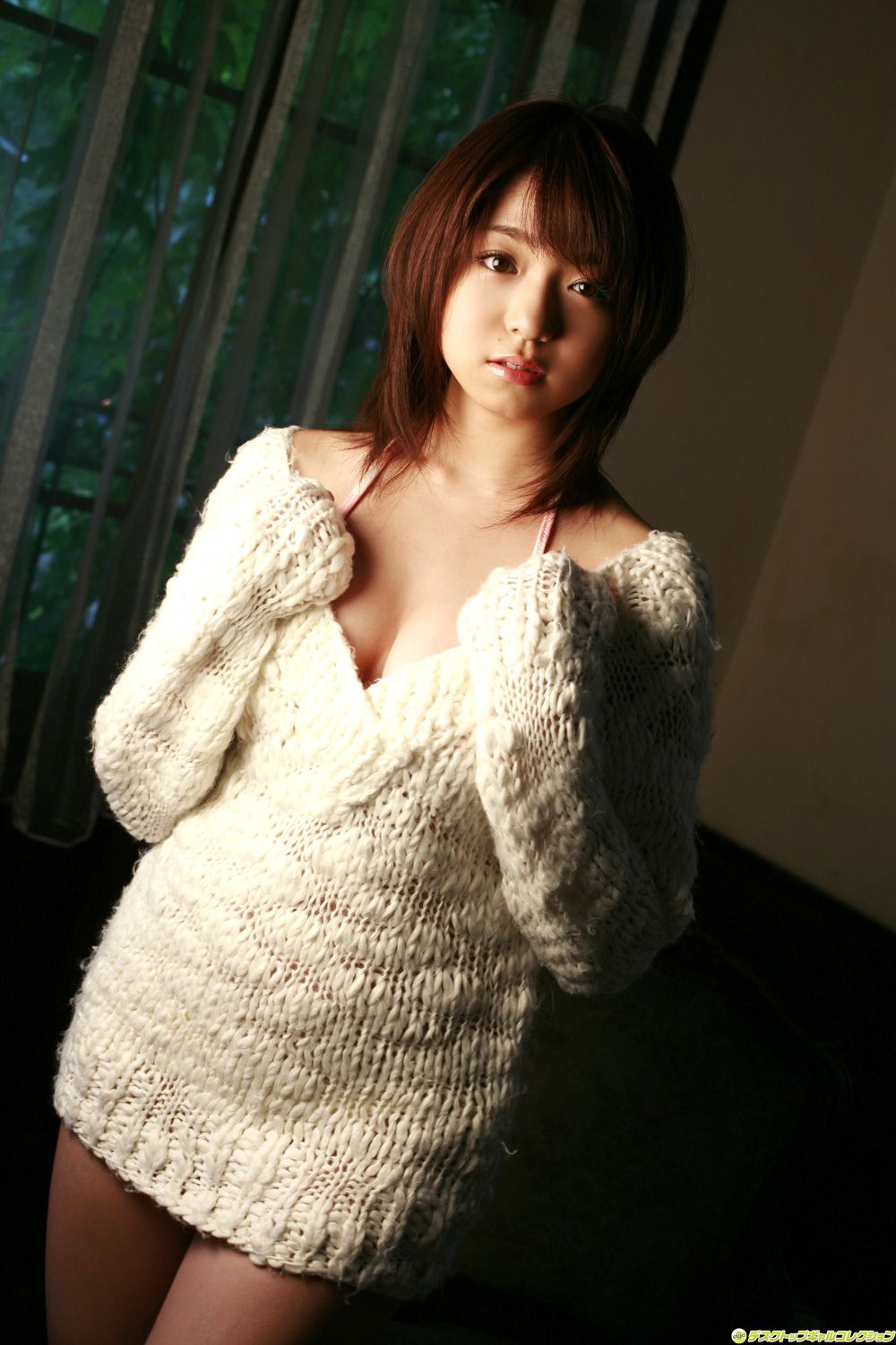 [DGC] NO.529 Shizuka Nakamura Nakamura Shizuka Top Idols