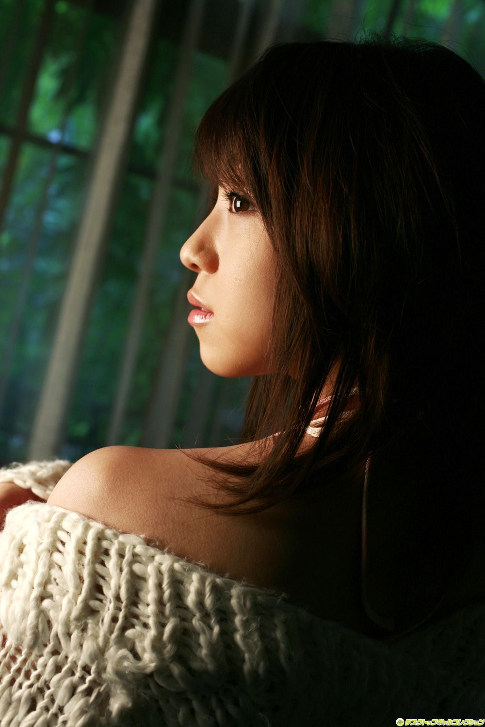 [DGC] NO.529 Shizuka Nakamura Nakamura Shizuka Top Idols