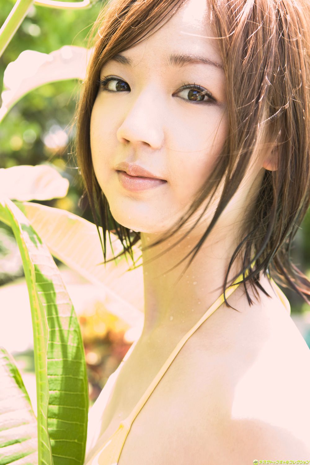 [DGC] NO.842 Asami Tani Asami Tani