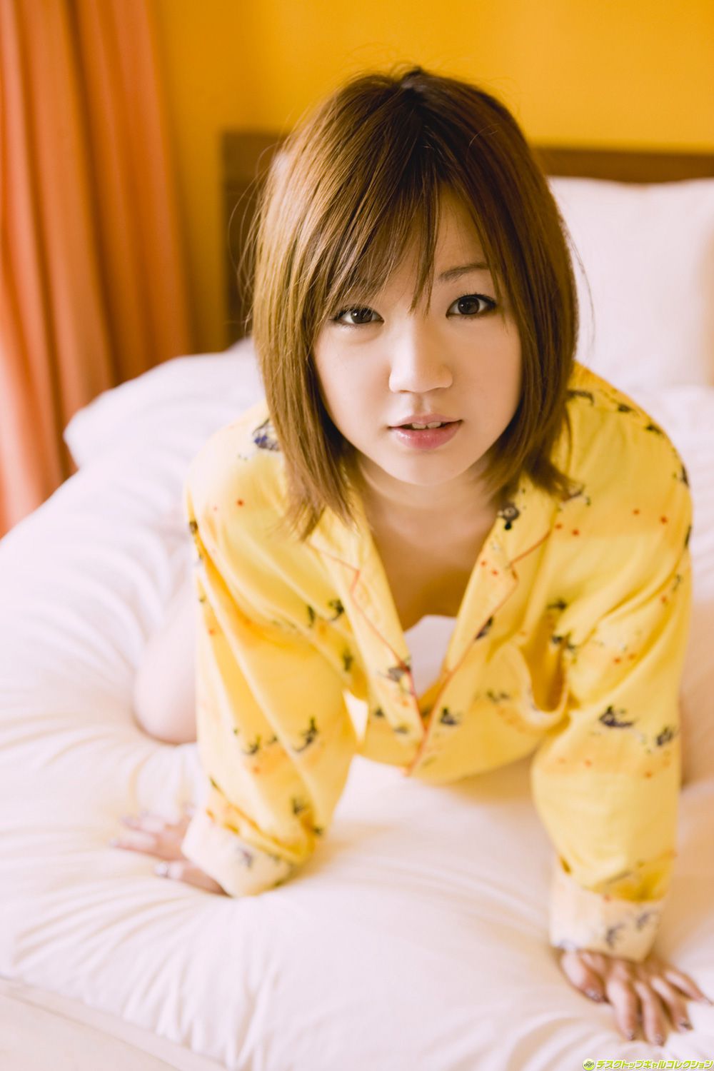 [DGC] NO.842 Asami Tani Asami Tani