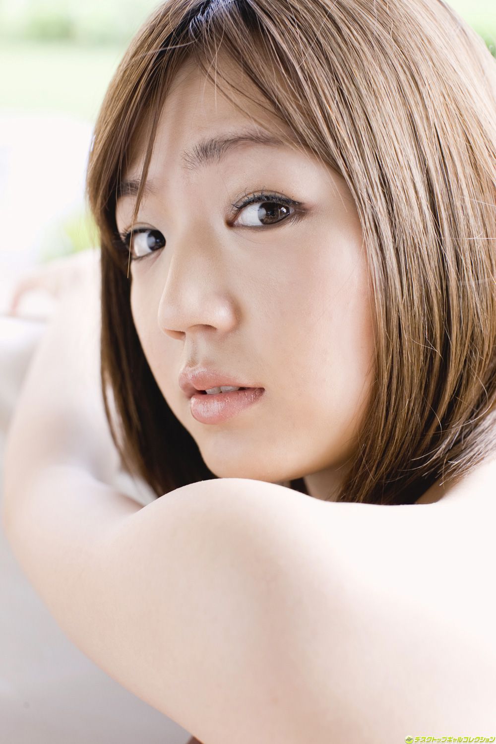 [DGC] NO.842 Asami Tani Asami Tani
