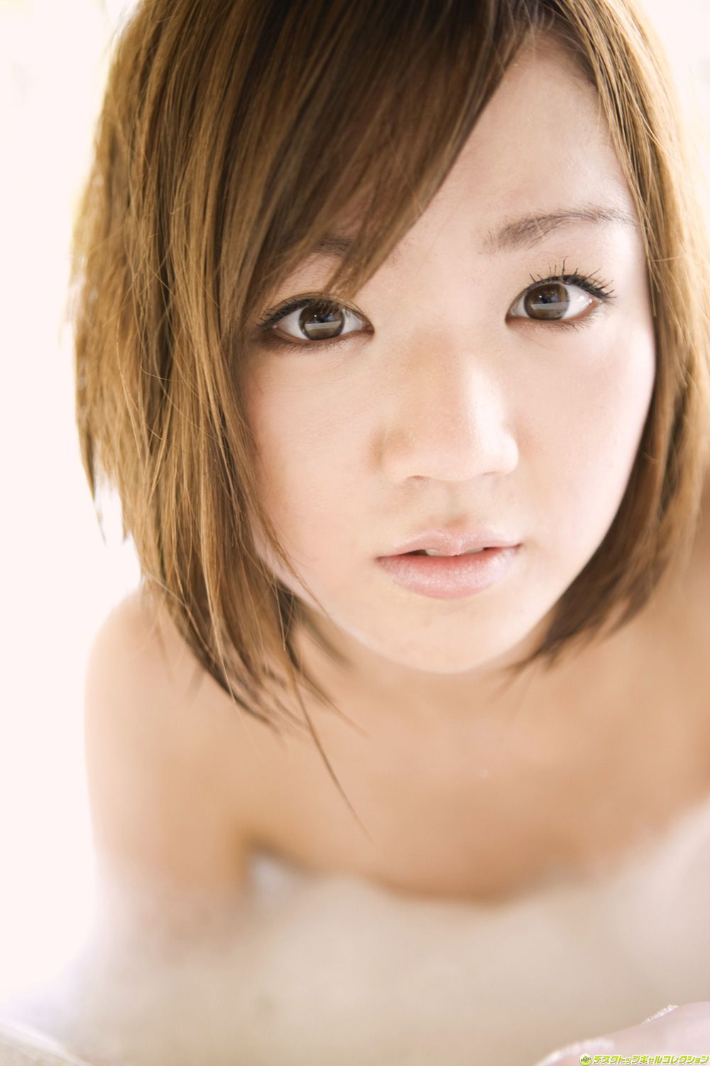 [DGC] NO.842 Asami Tani Asami Tani