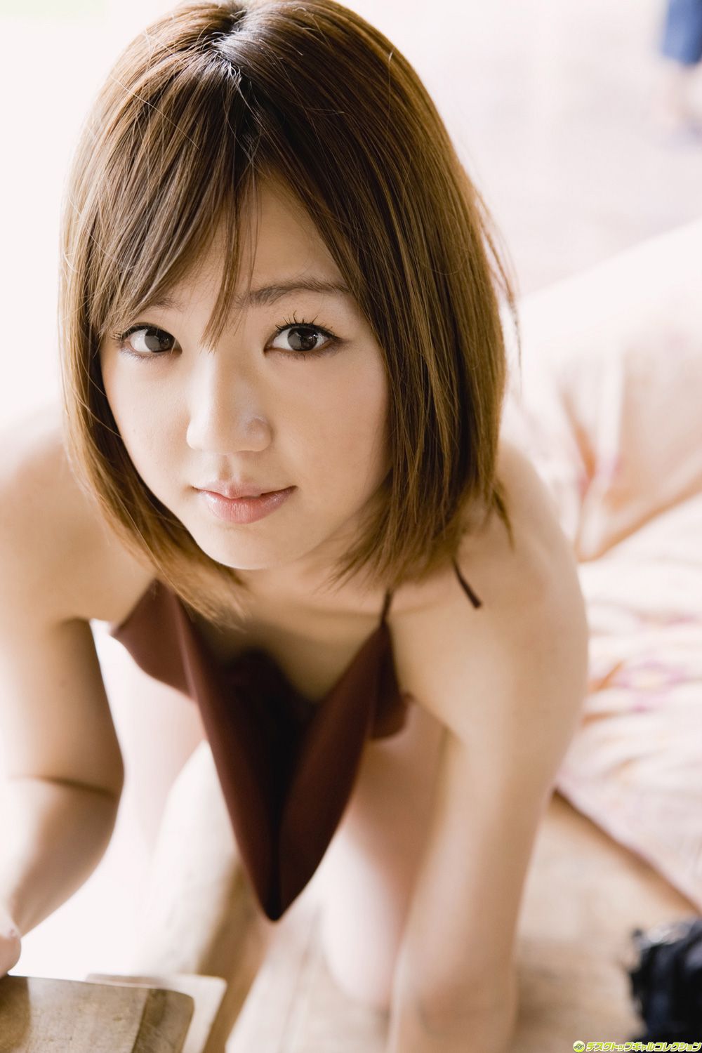 [DGC] NO.842 Asami Tani Asami Tani